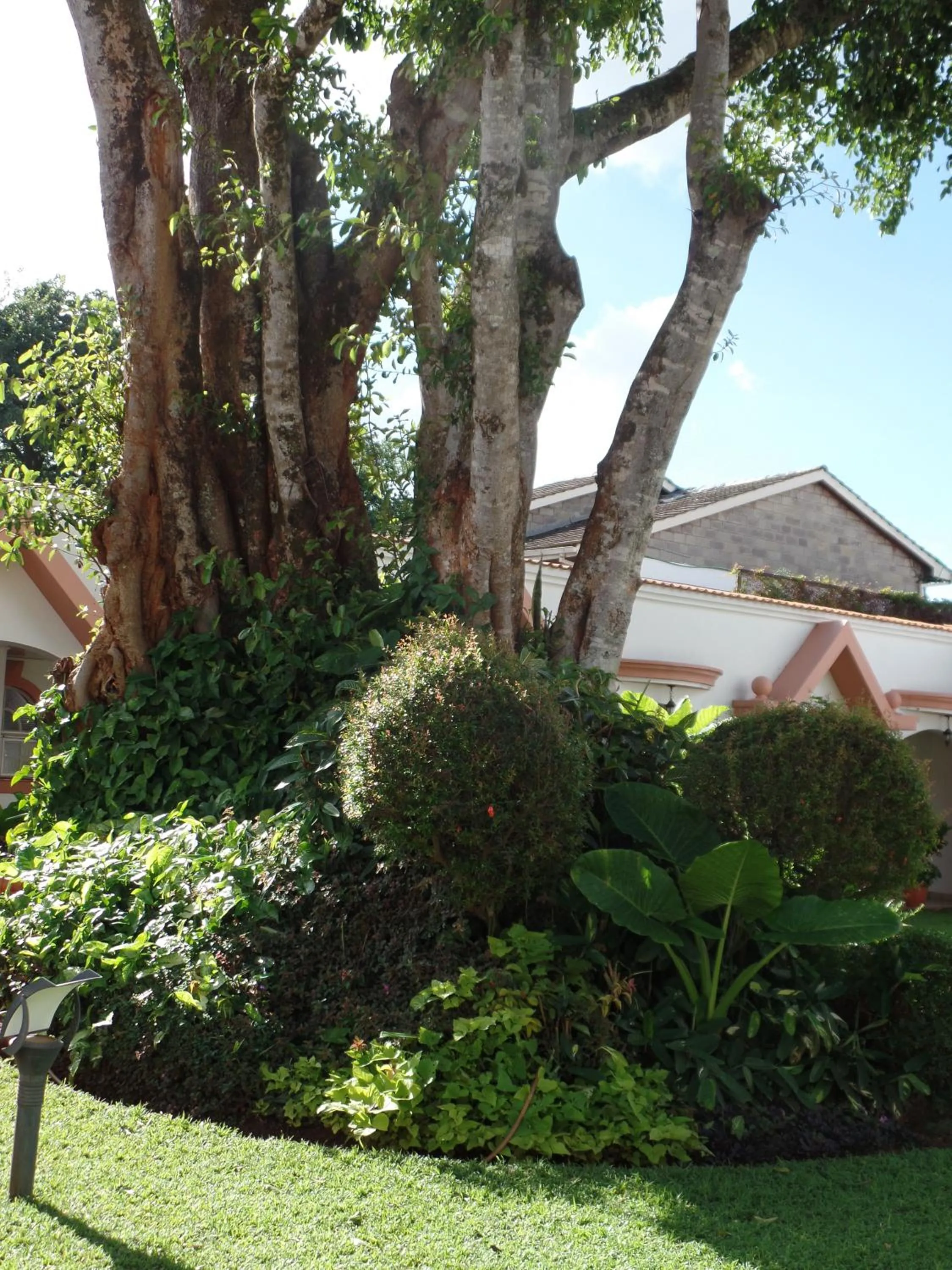 Natural landscape in Villa Leone Boutique Hotel