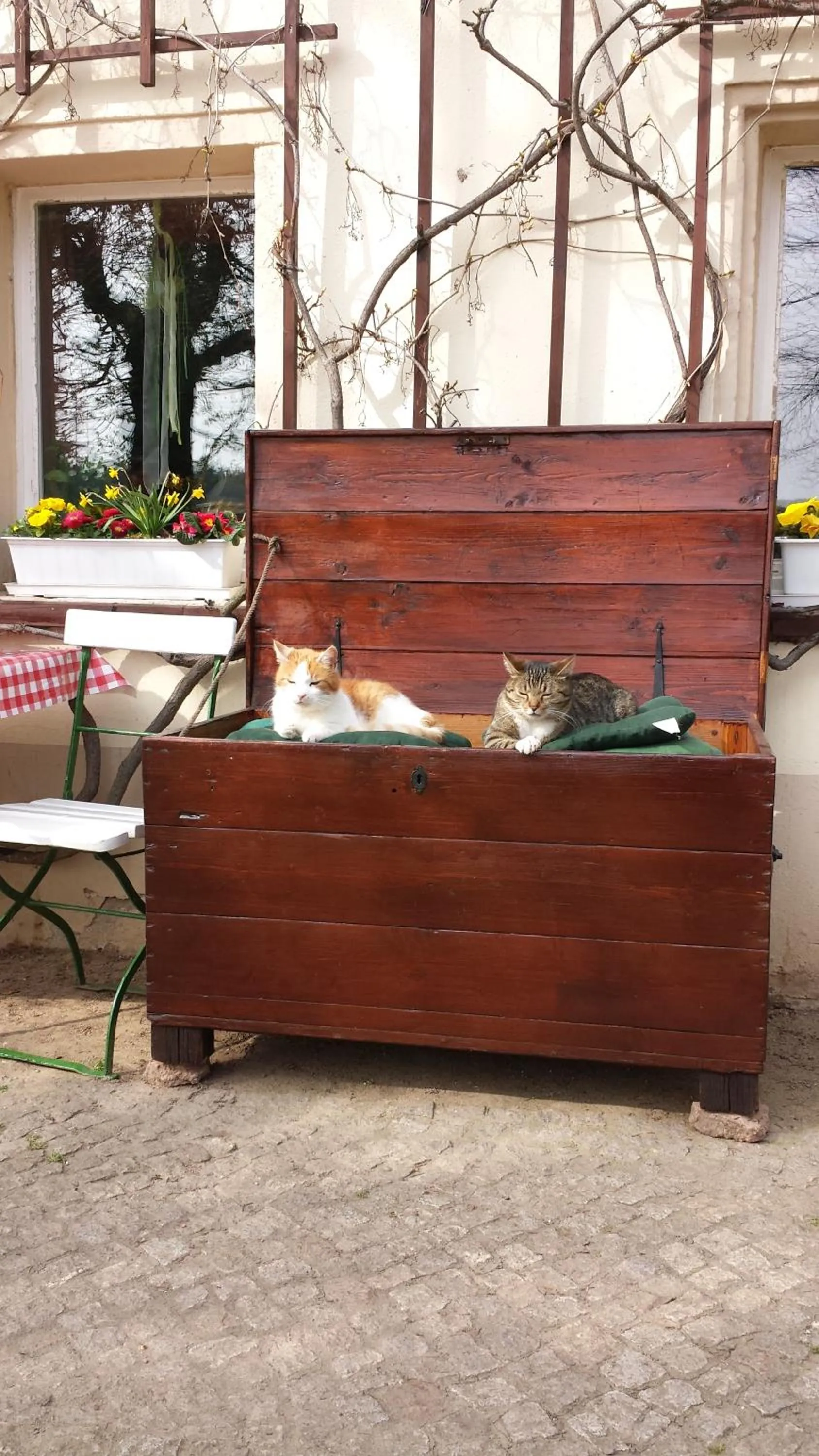 Garden in Jägerheim Löbsal