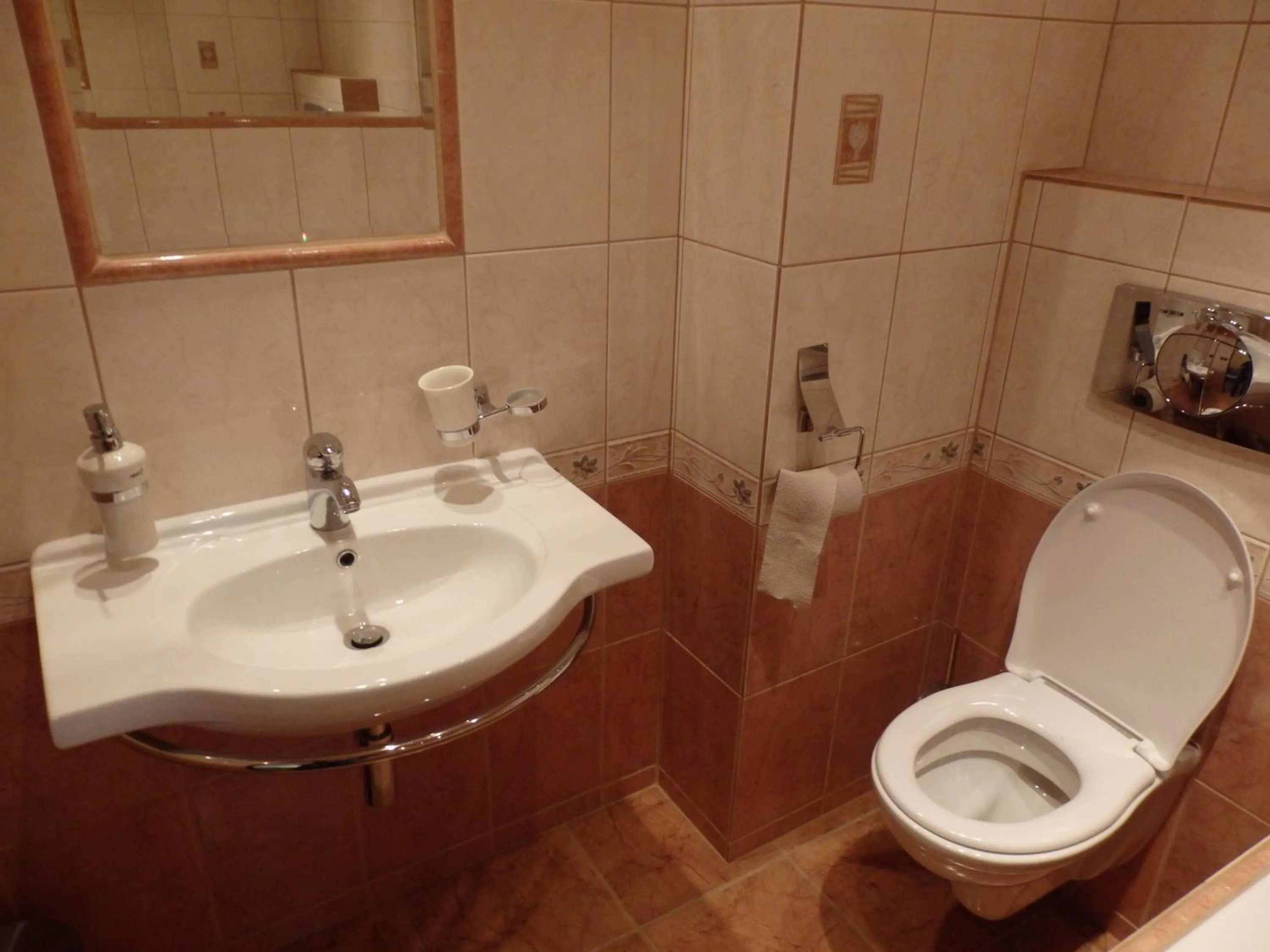 Toilet in Hotel Zlatý Kříž