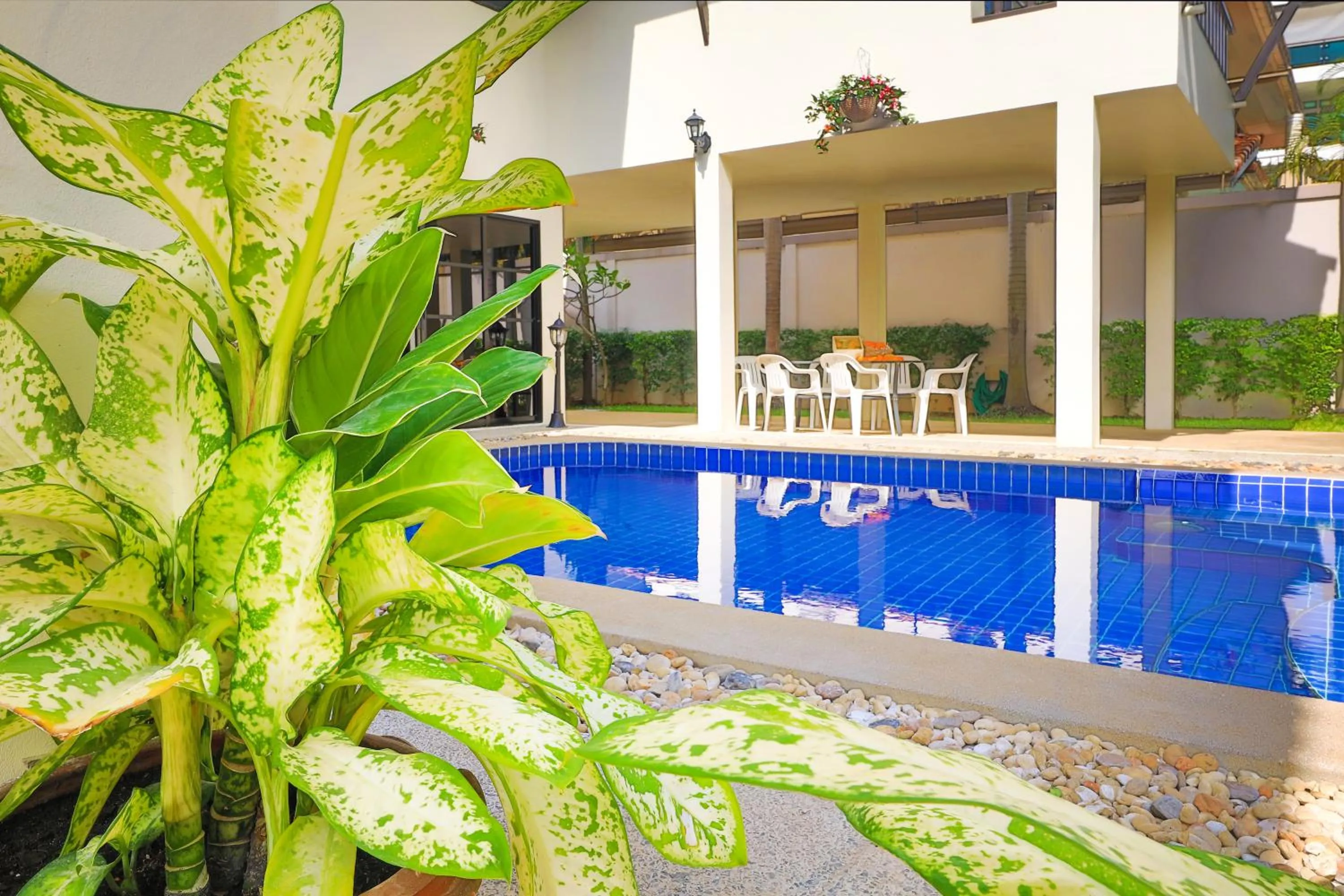 Swimming pool in Sweet Villas Pattaya