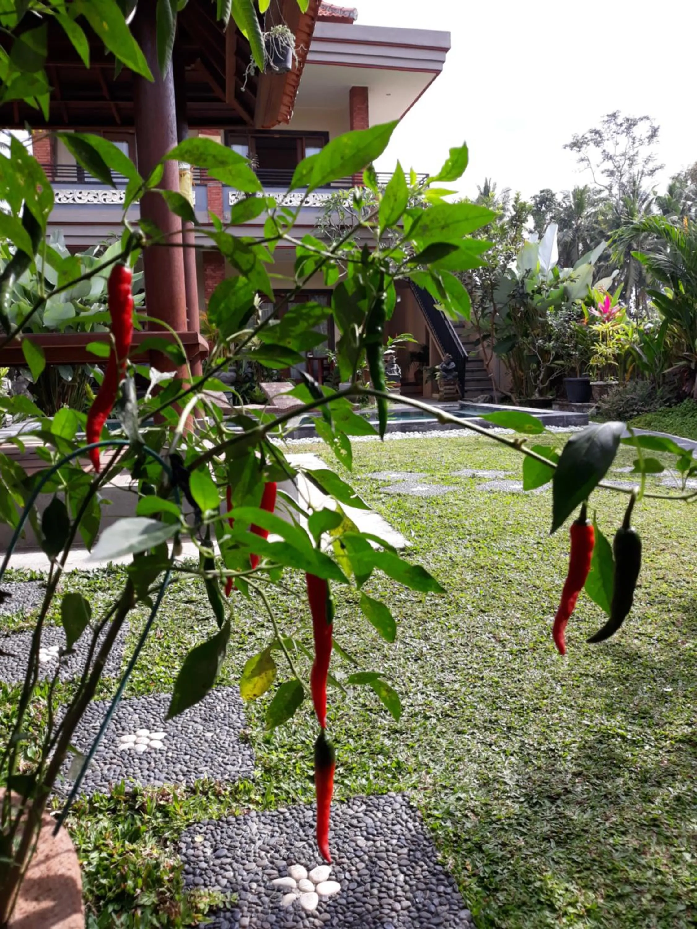 Umah Dangin Guest House