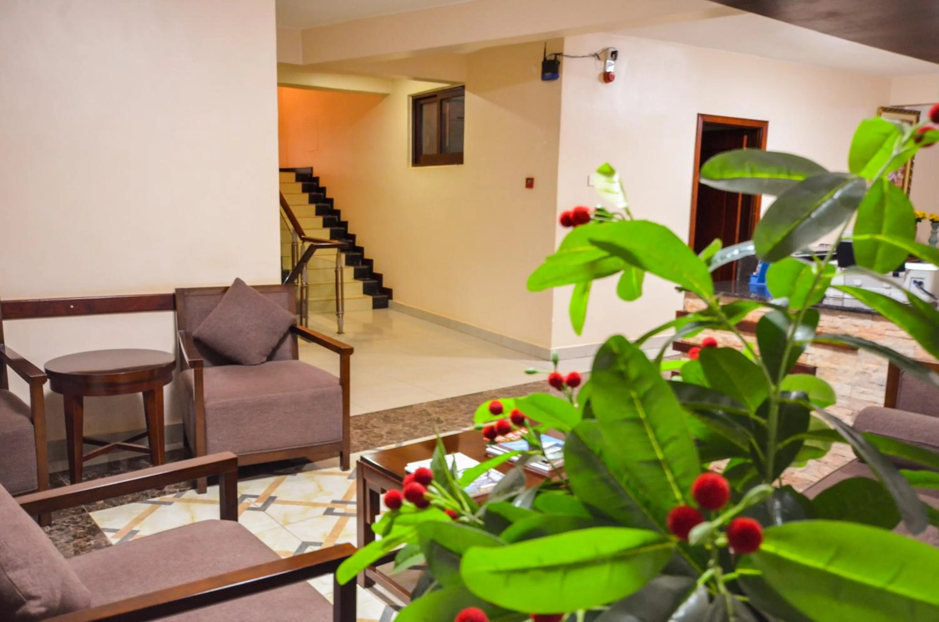 Communal lounge/ TV room in Hillside Plaza Hotel