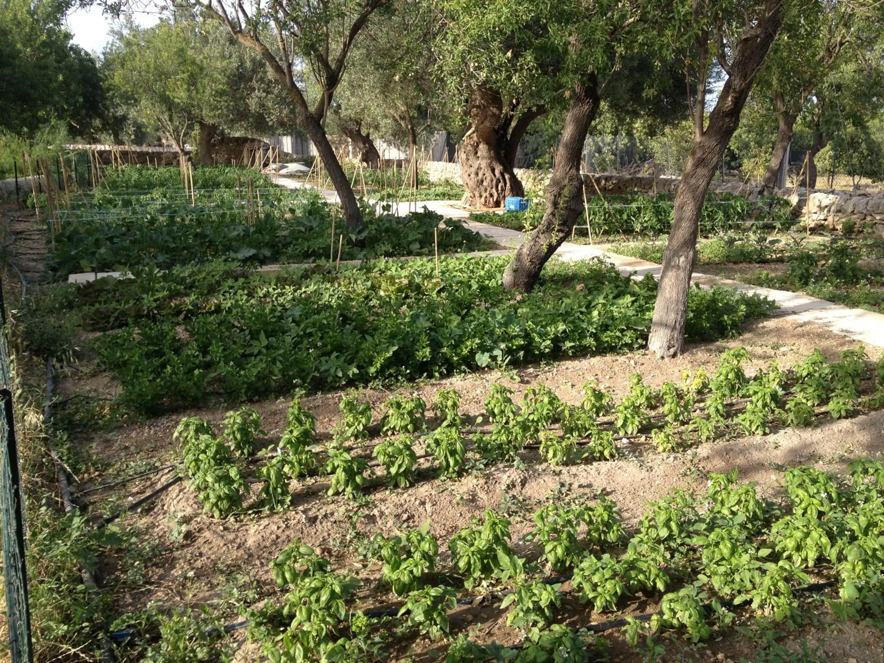 Restaurant/places to eat in Hotel La Corte Del Sole