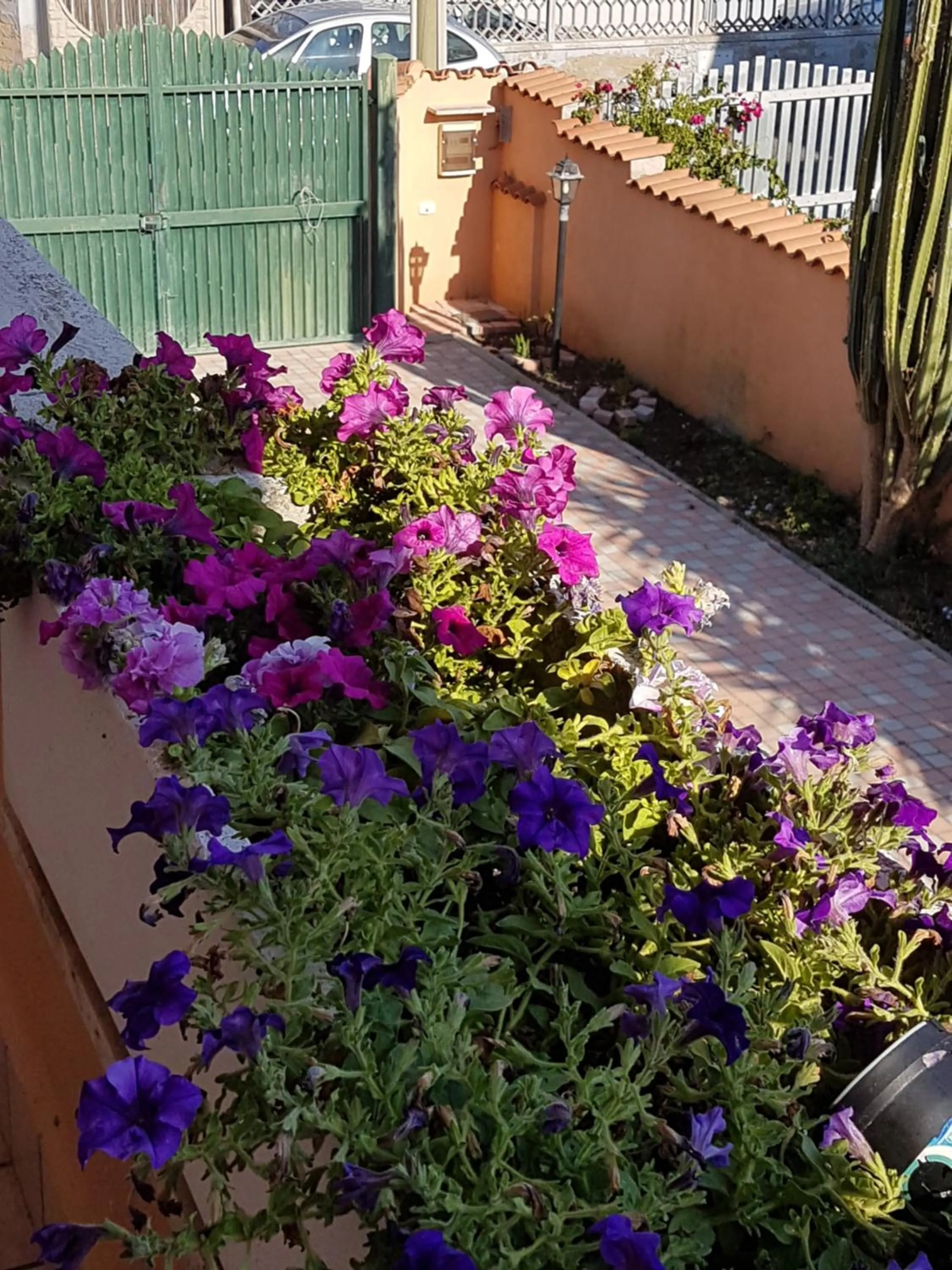 Garden view in I Villini B&B