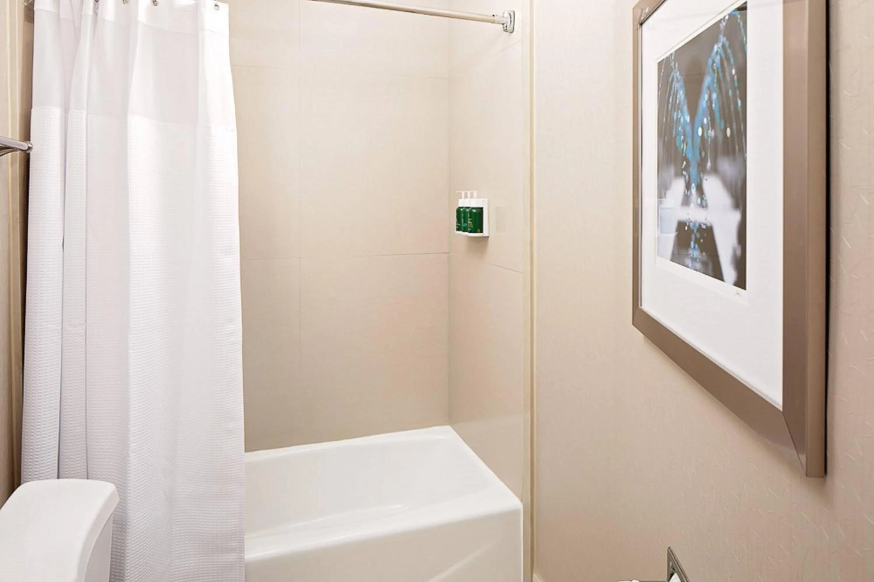 Bathroom in SpringHill Suites by Marriott El Paso