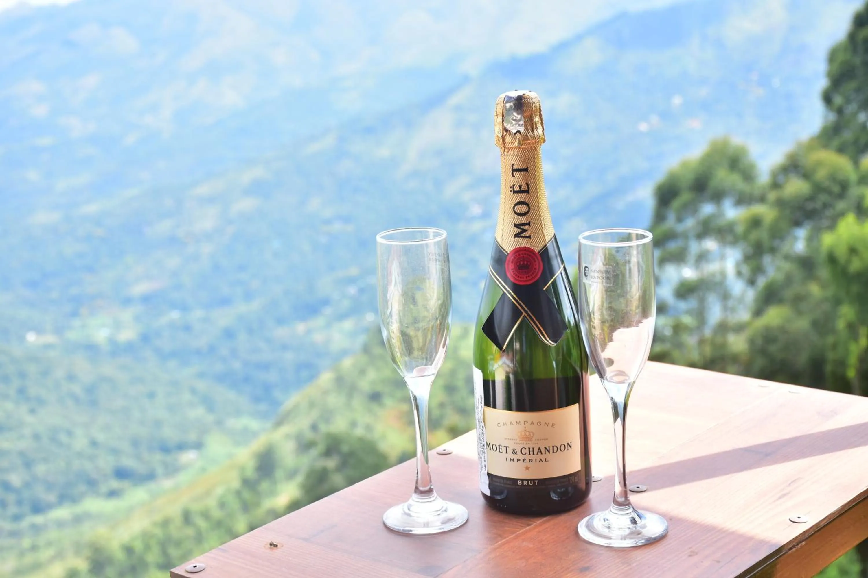 Alcoholic drinks in Syamantac Villa