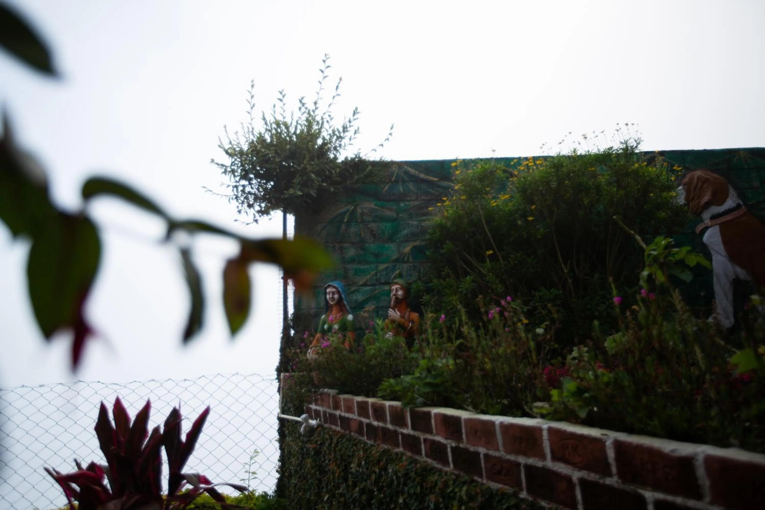 Garden in Syamantac Villa