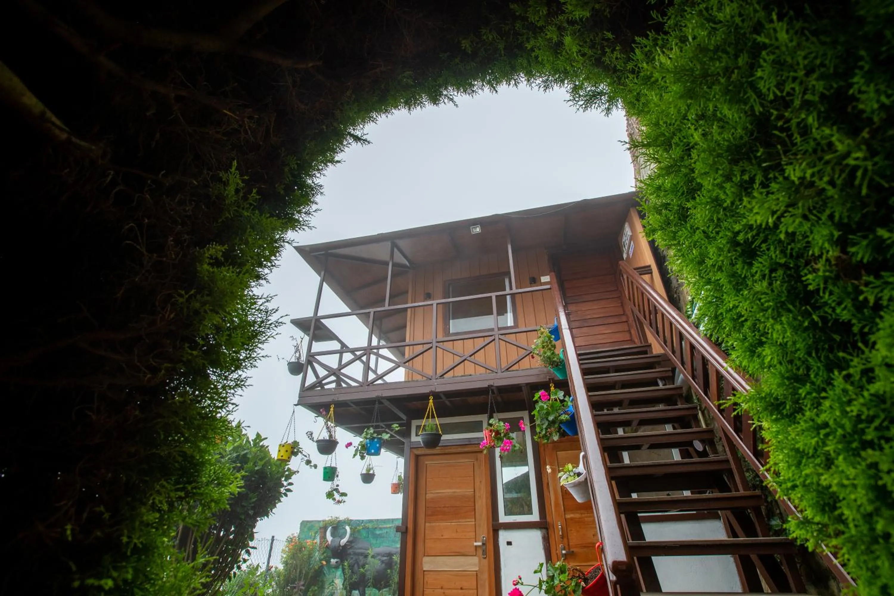 Garden in Syamantac Villa