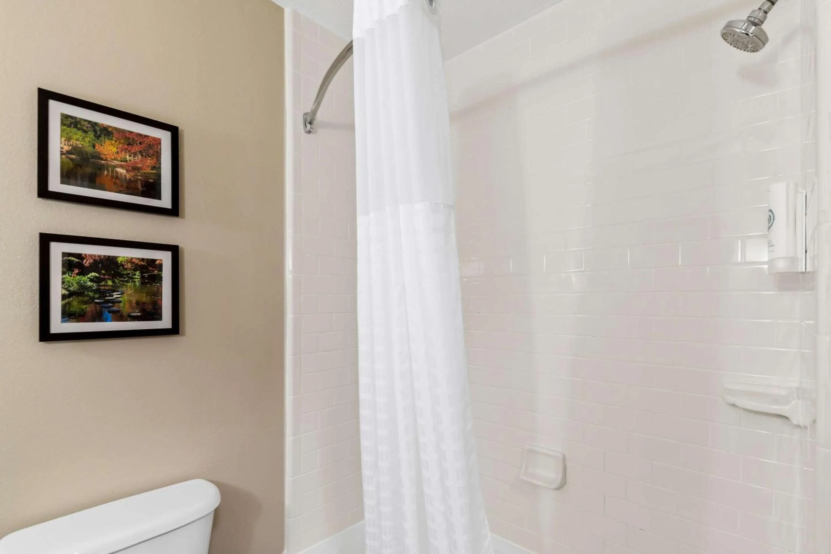 Bedroom in Comfort Suites Roanoke - Fort Worth North