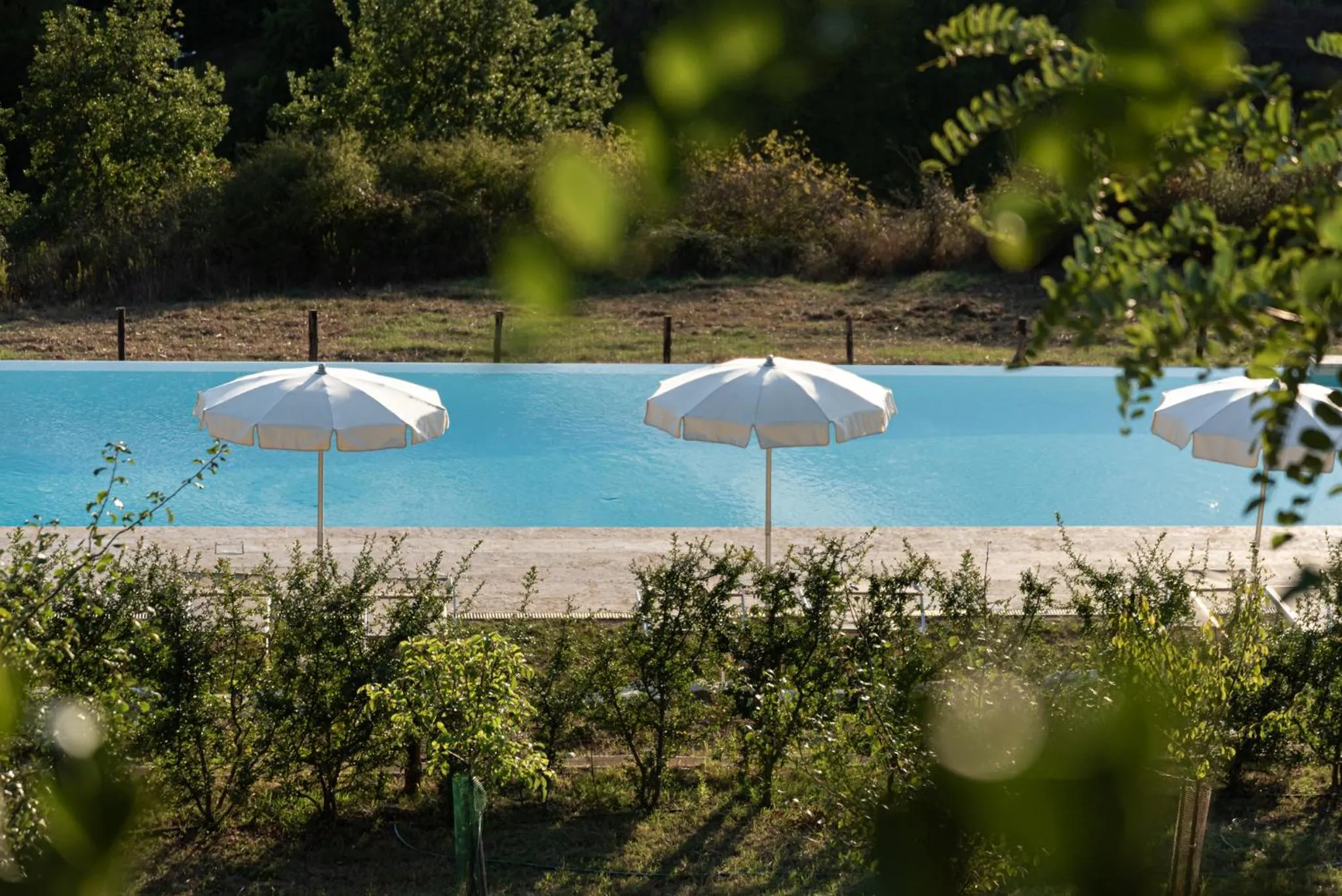 Swimming pool in Chianti B&B Design infinity pool shared