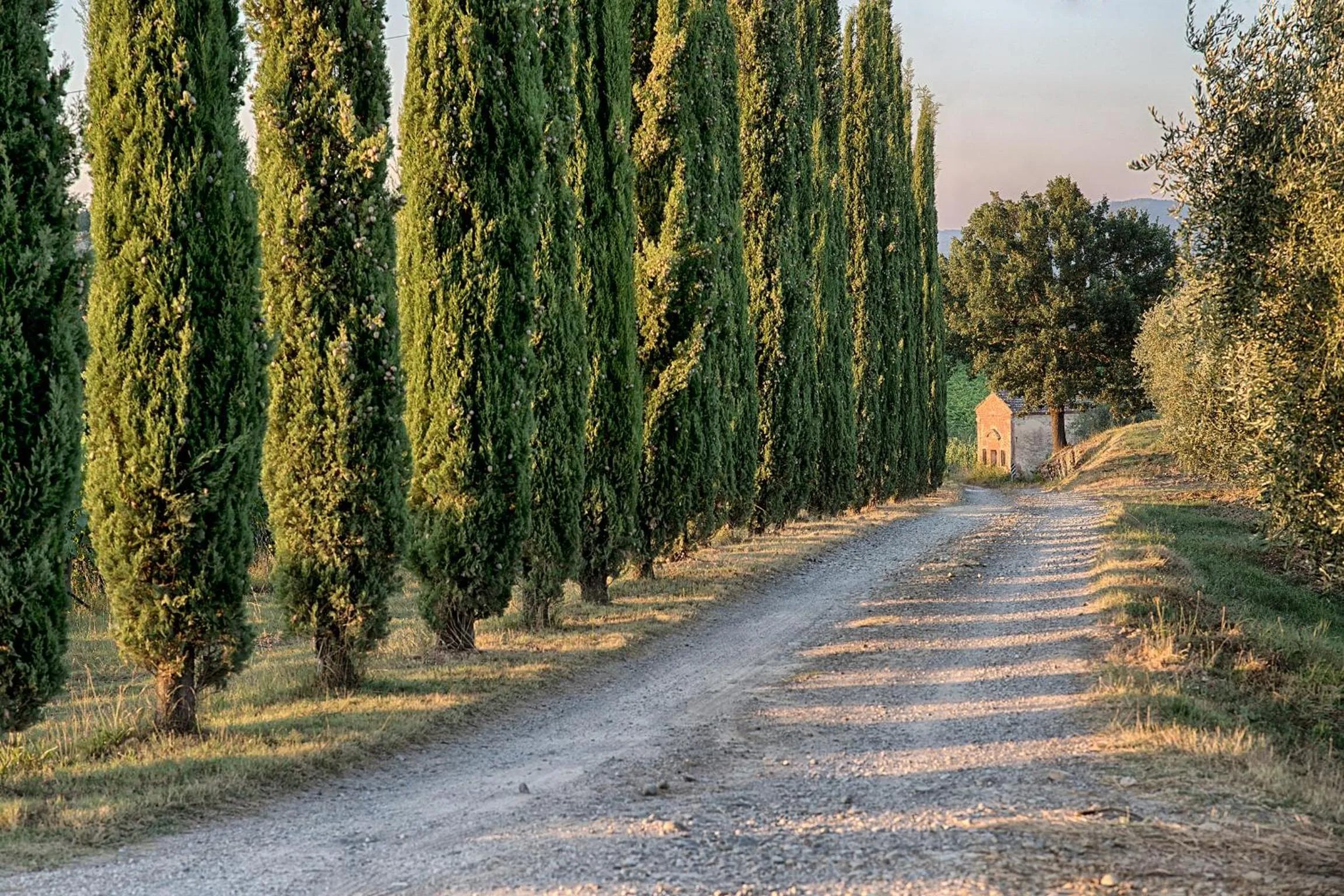 Street view in Chianti B&B Design infinity pool shared