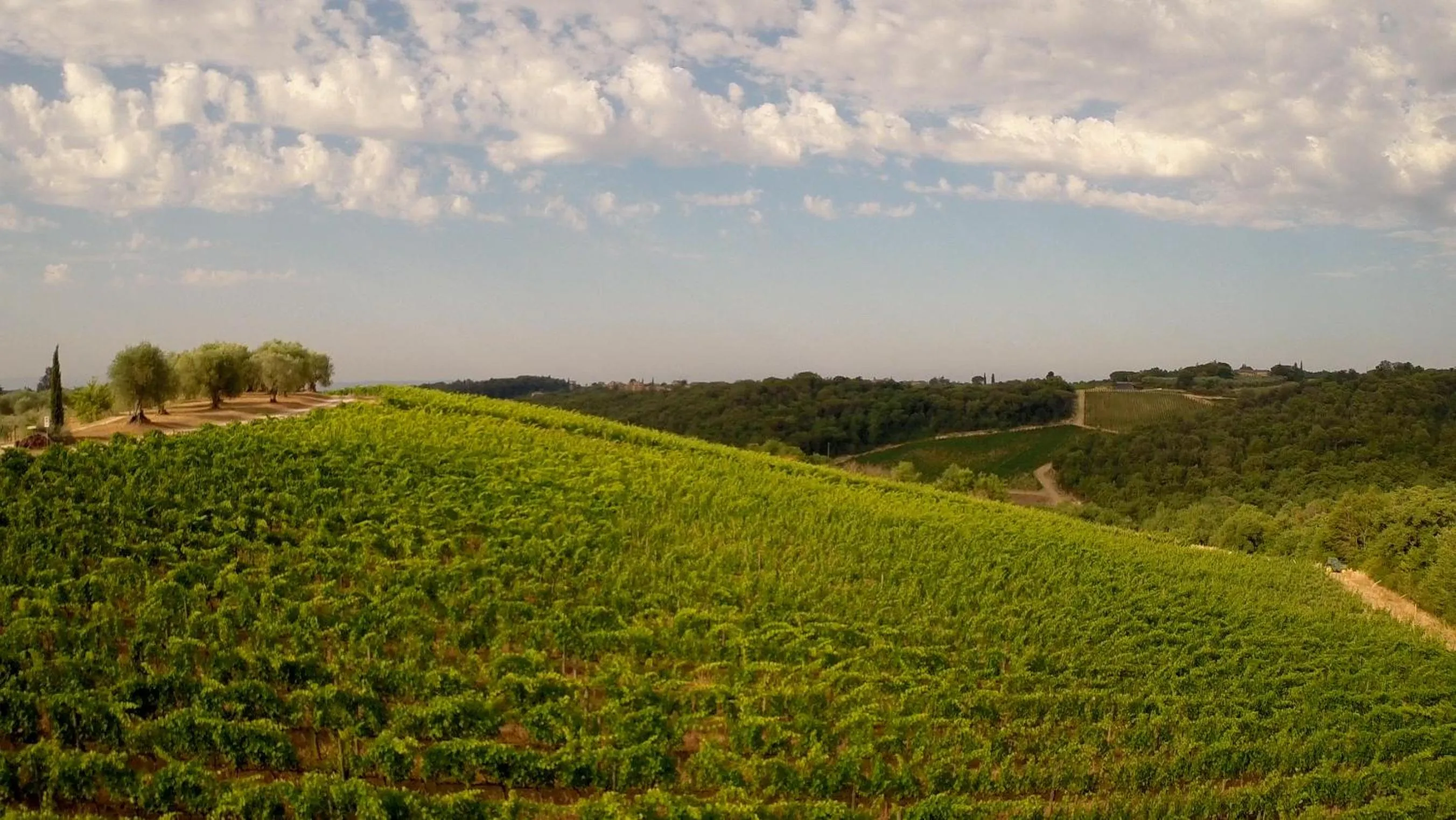 Natural landscape in Chianti B&B Design infinity pool shared