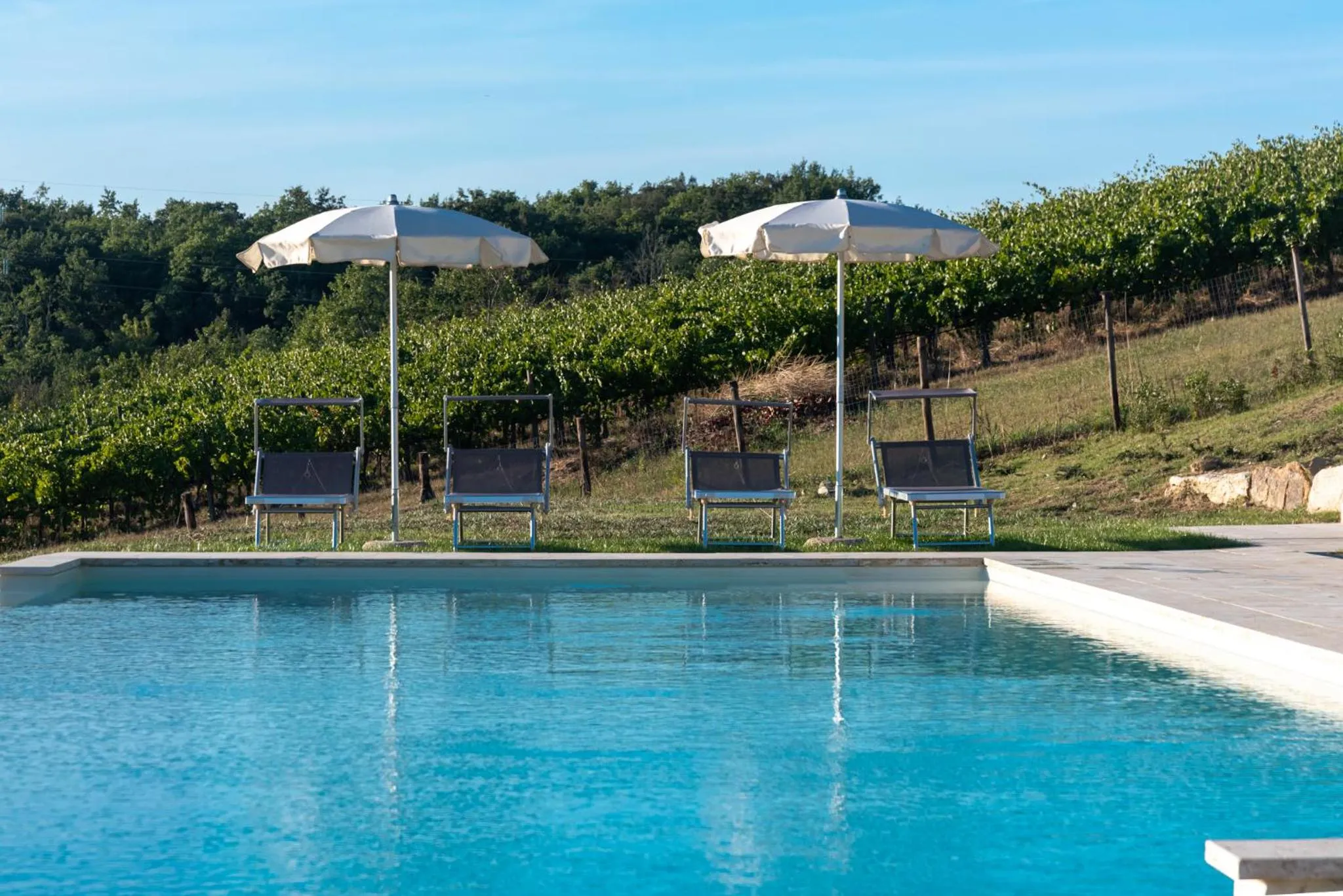 Swimming pool in Chianti B&B Design infinity pool shared