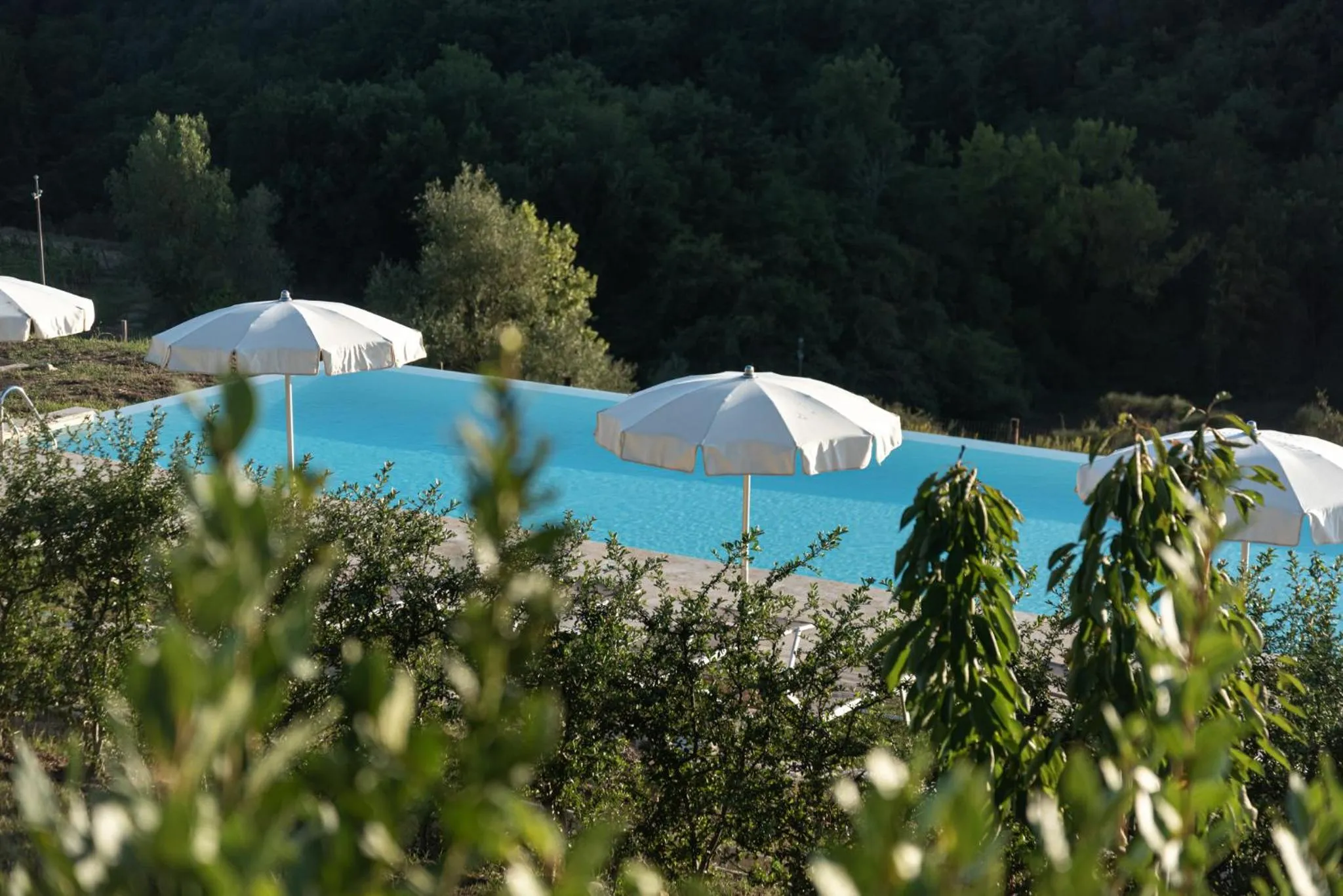 Swimming pool in Chianti B&B Design infinity pool shared