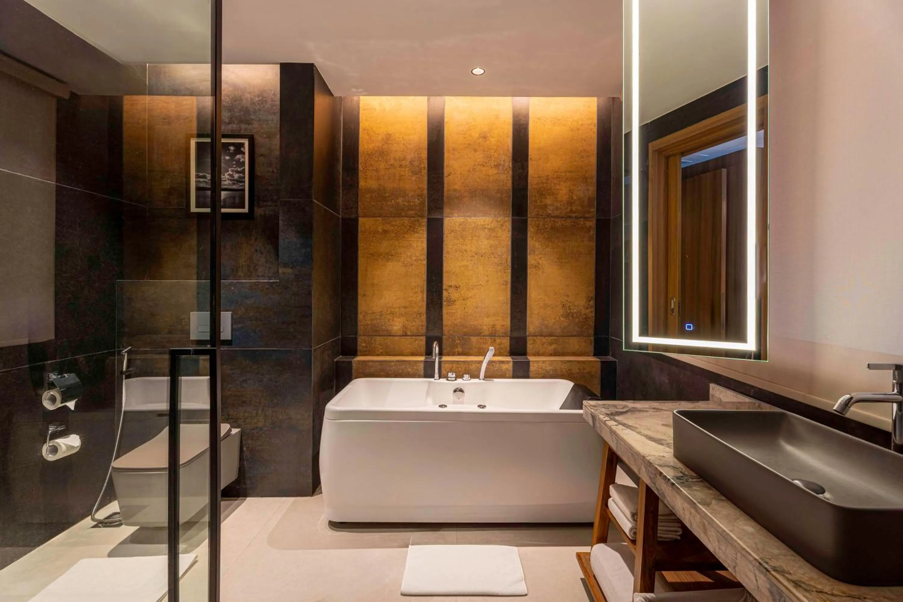 Bathroom in Radisson Blu Plaza Resort & Convention Centre Karjat