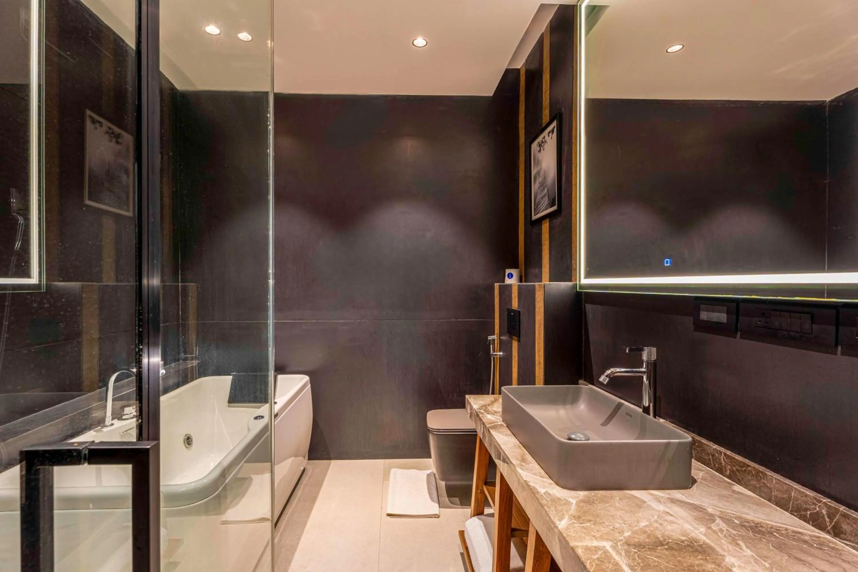 Bathroom in Radisson Blu Plaza Resort & Convention Centre Karjat