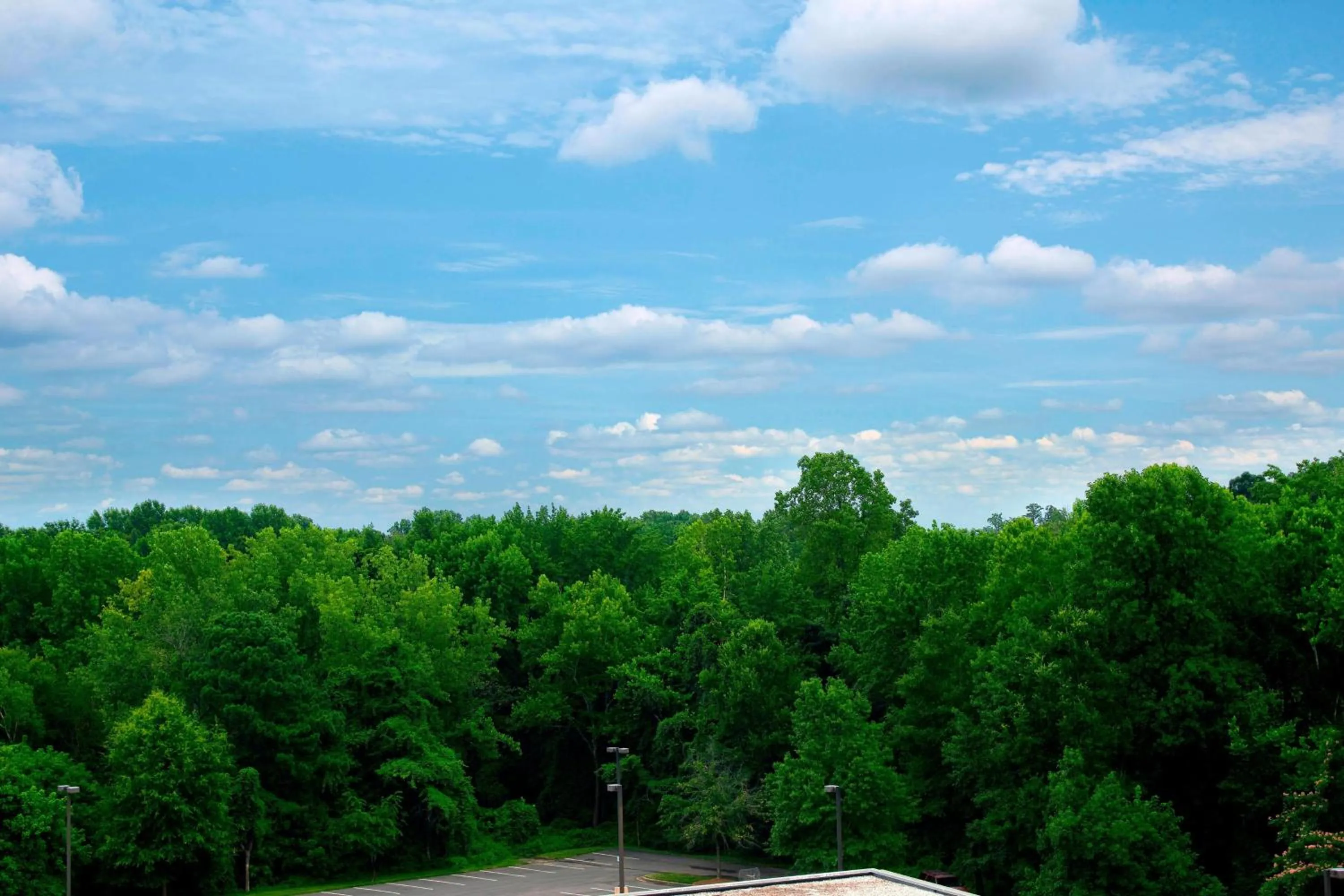 Photo of the whole room in Sheraton Charlotte Airport