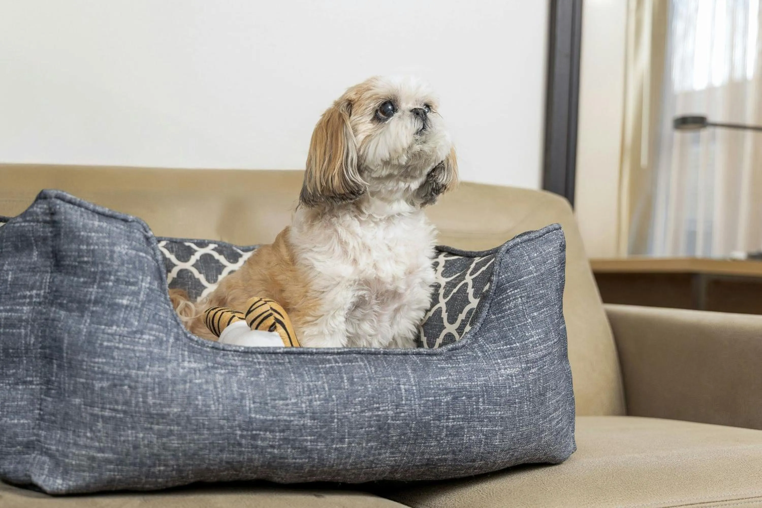 Bedroom in Residence Inn Dayton North
