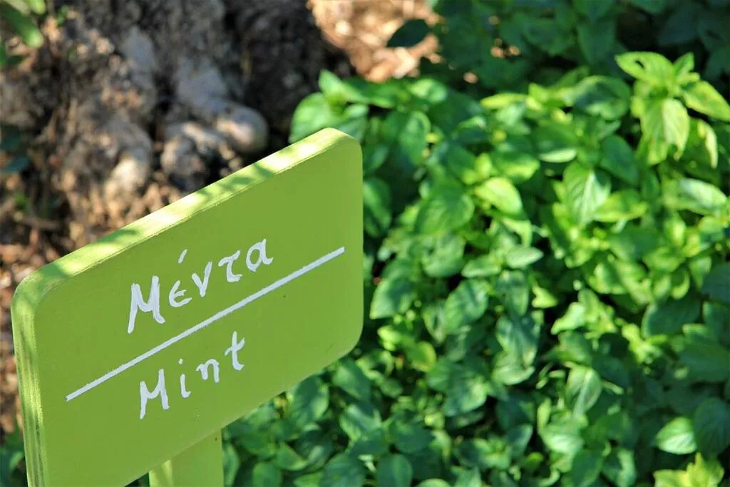 Liotrivi Historical Mansion and Boutique Hotel