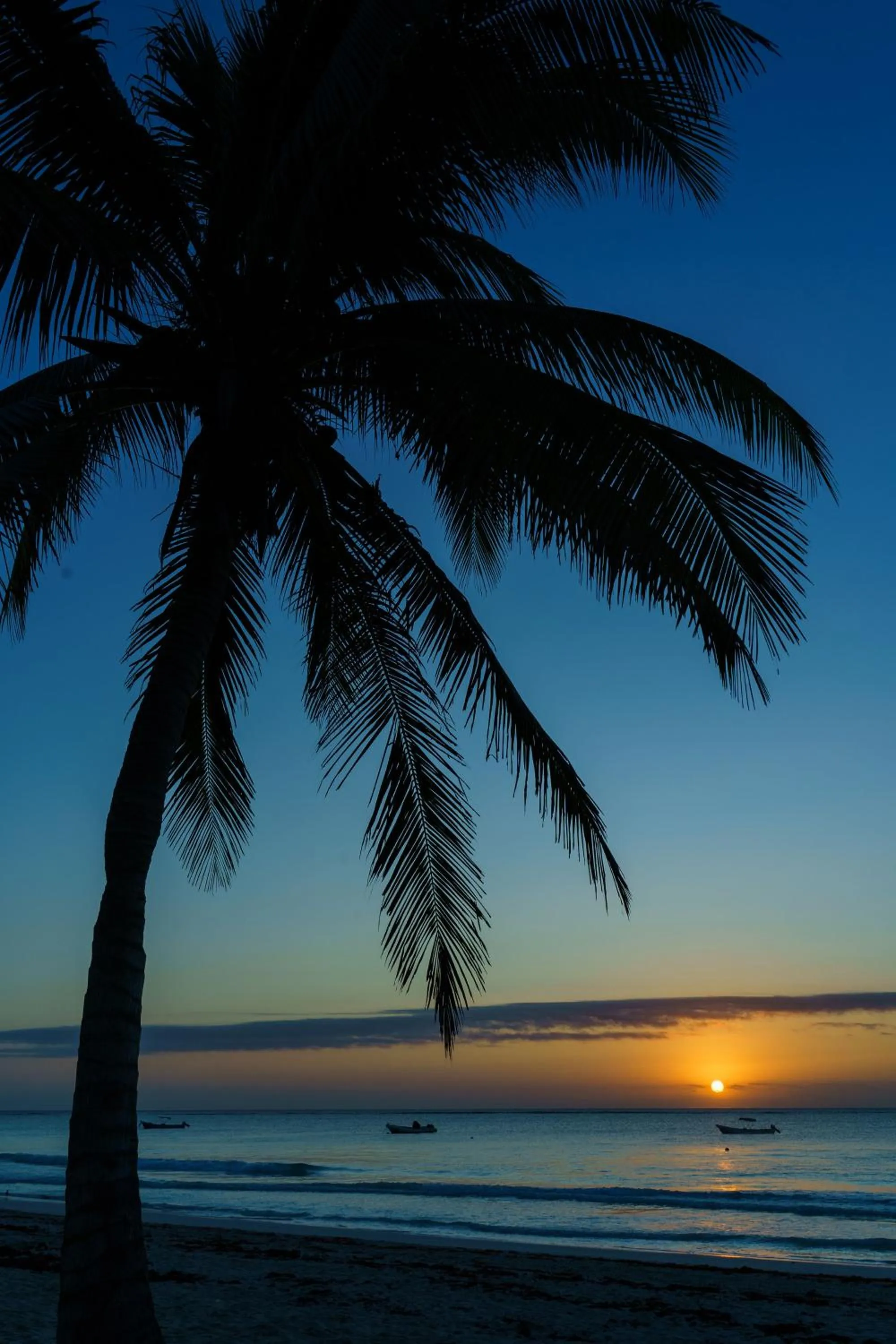 Natural landscape in Hotel Pocna Tulum