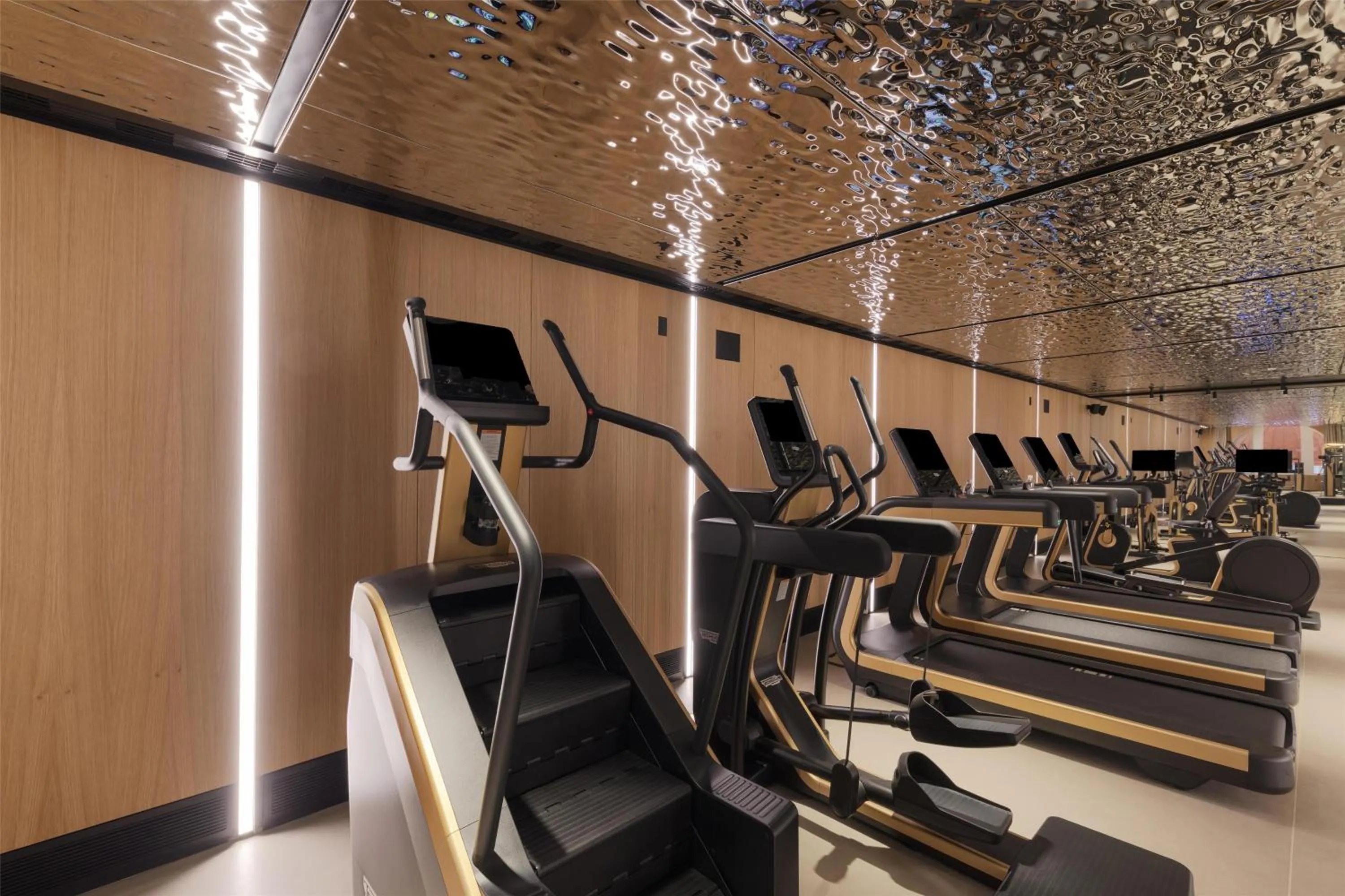 Fitness centre/facilities in Park Hyatt Istanbul - Macka Palas