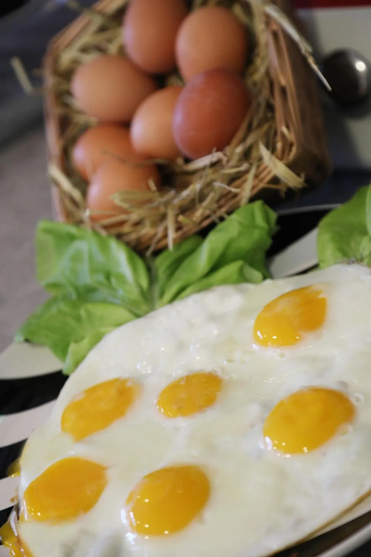 Breakfast in Hotel Fidenza