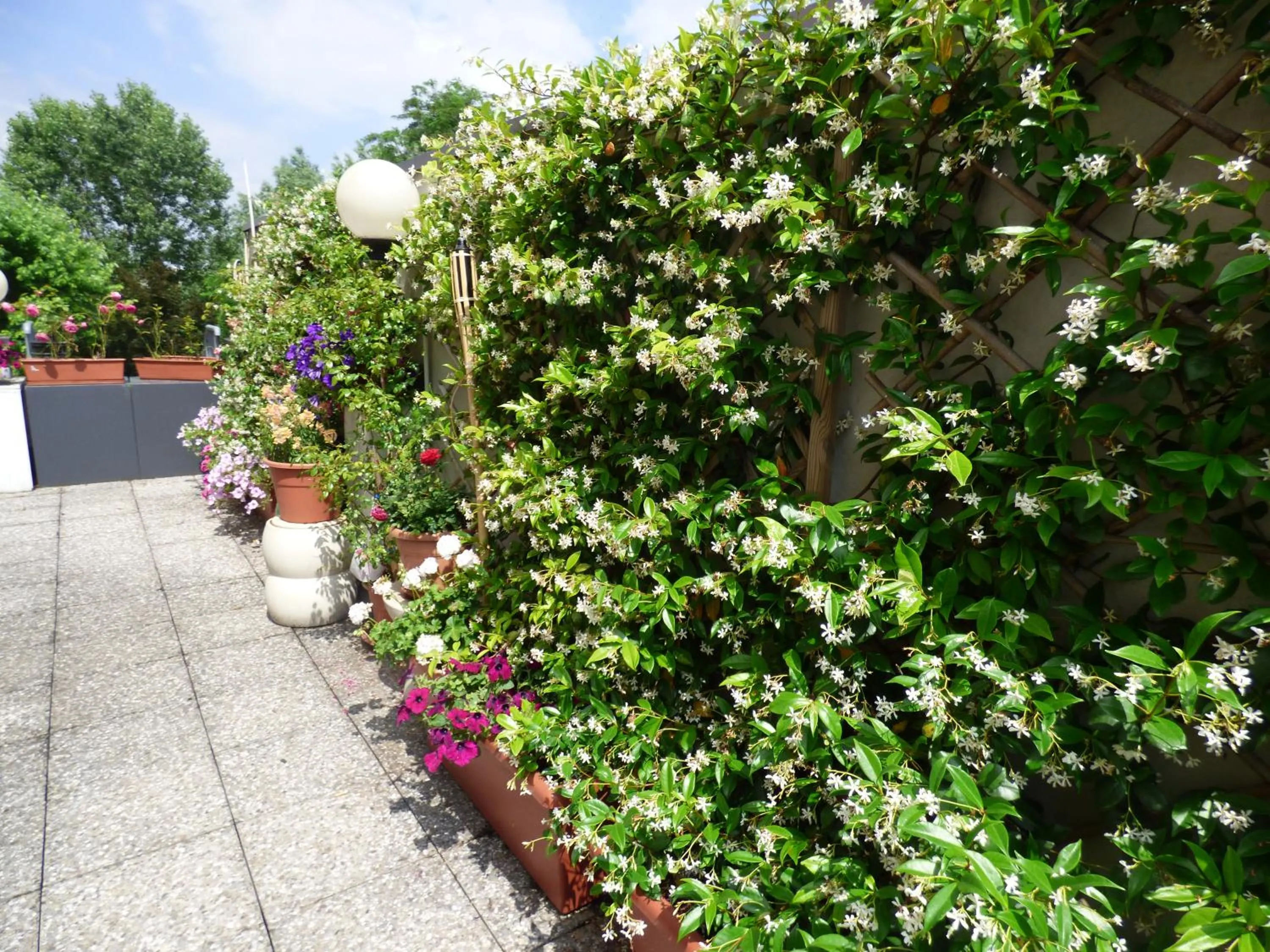 Day in Hotel Fidenza