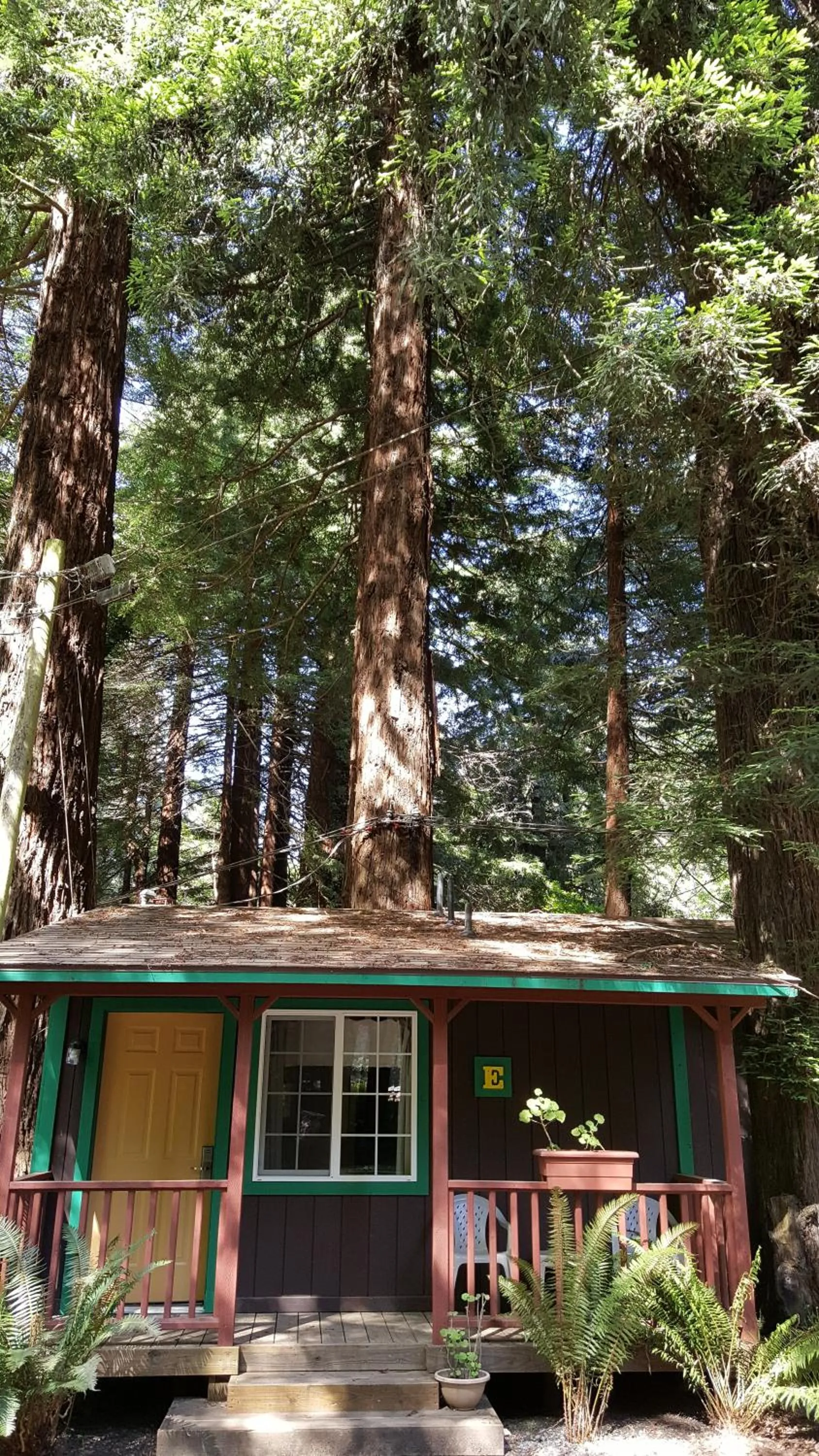 Property building in Emerald Forest Cabins