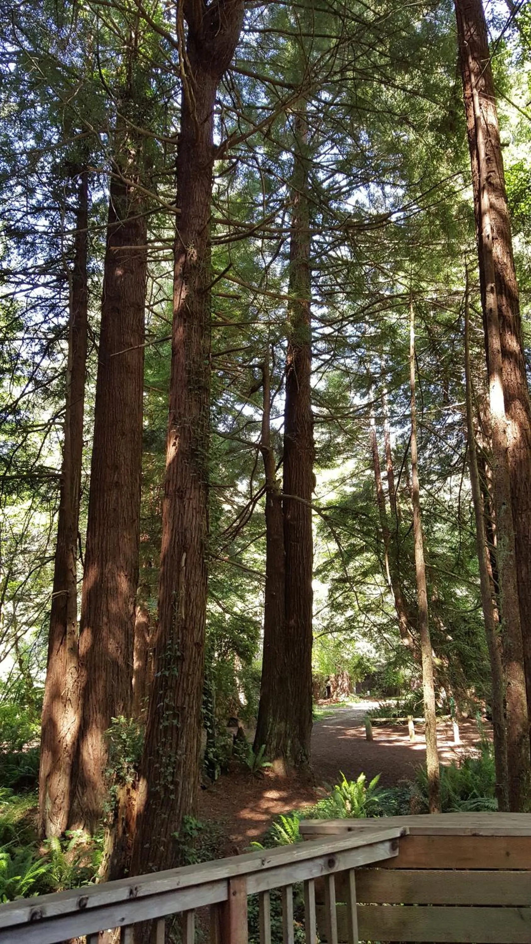 Other in Emerald Forest Cabins