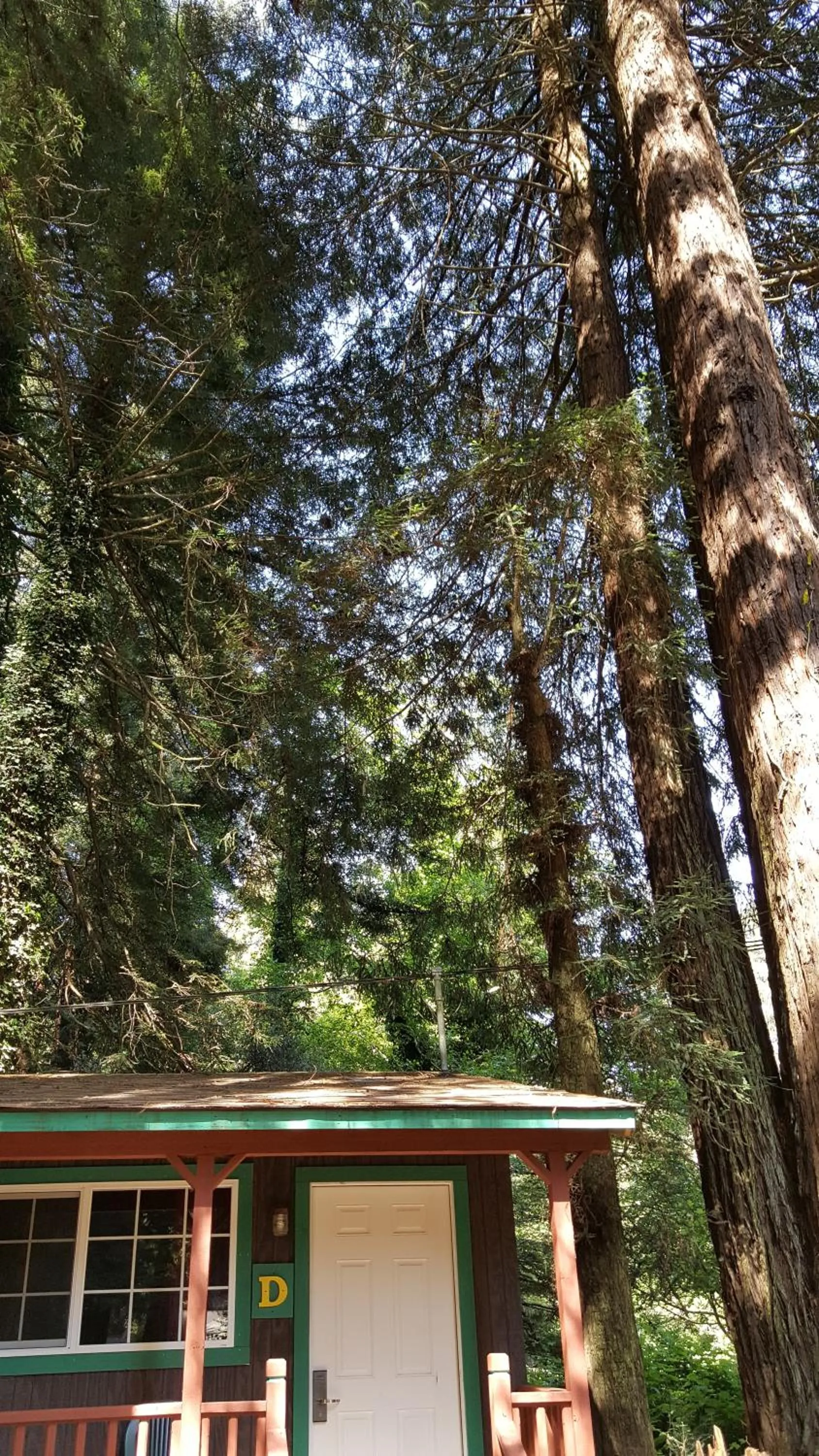 Property building in Emerald Forest Cabins