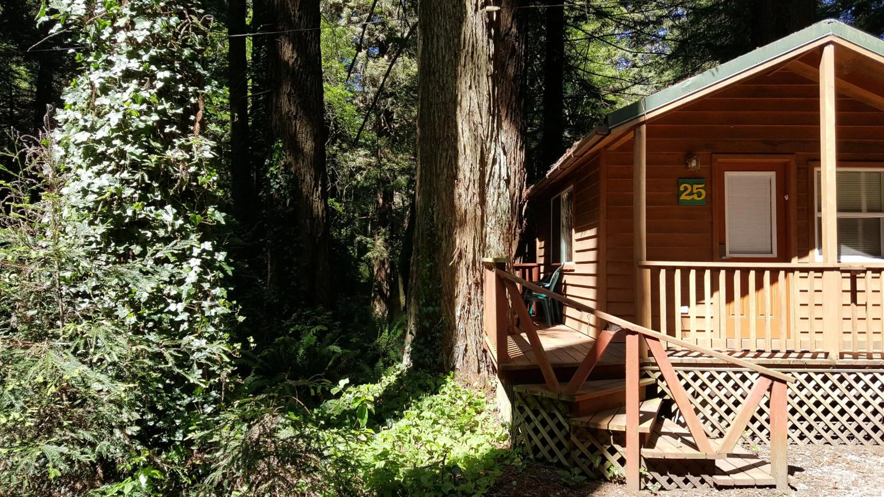 Property building in Emerald Forest Cabins