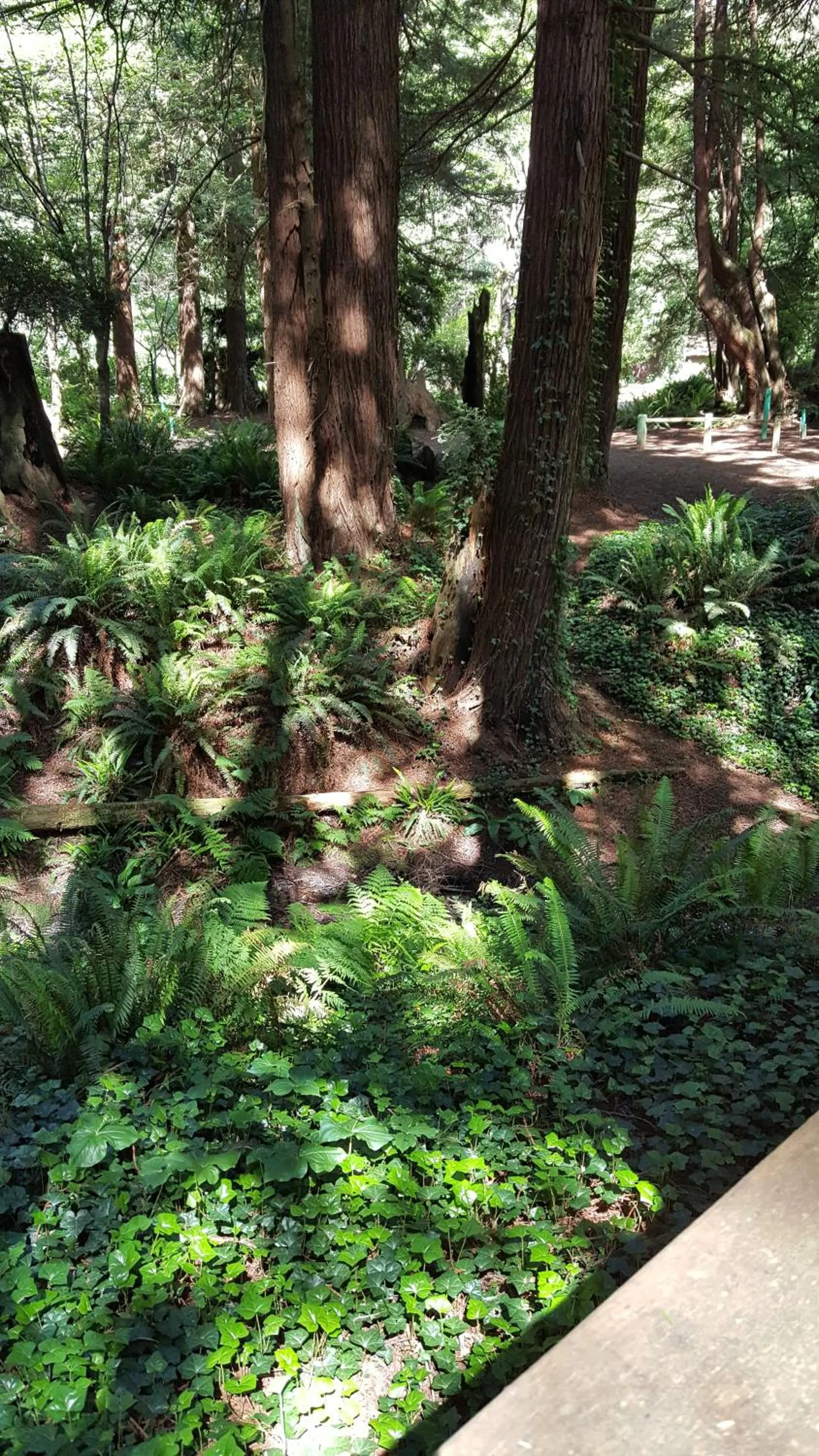 Other in Emerald Forest Cabins