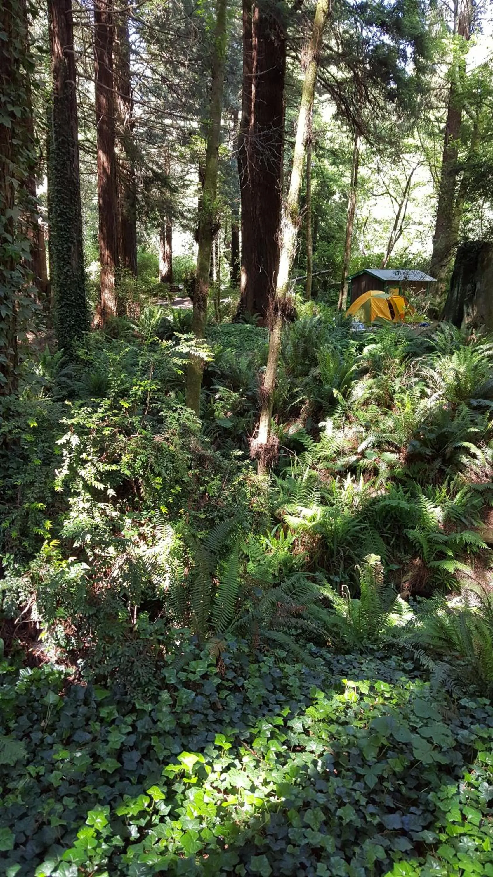 Other in Emerald Forest Cabins