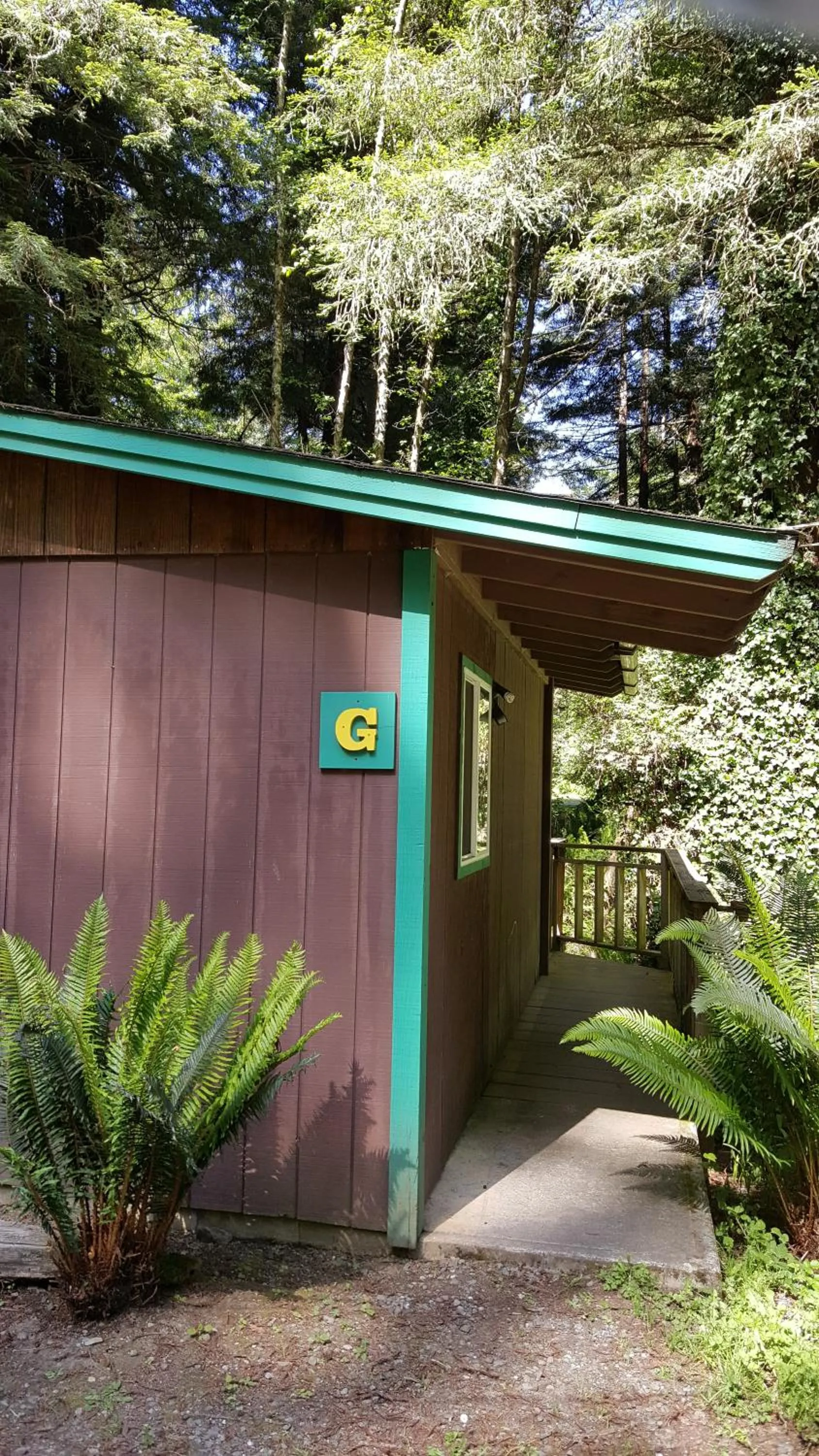 Property building in Emerald Forest Cabins