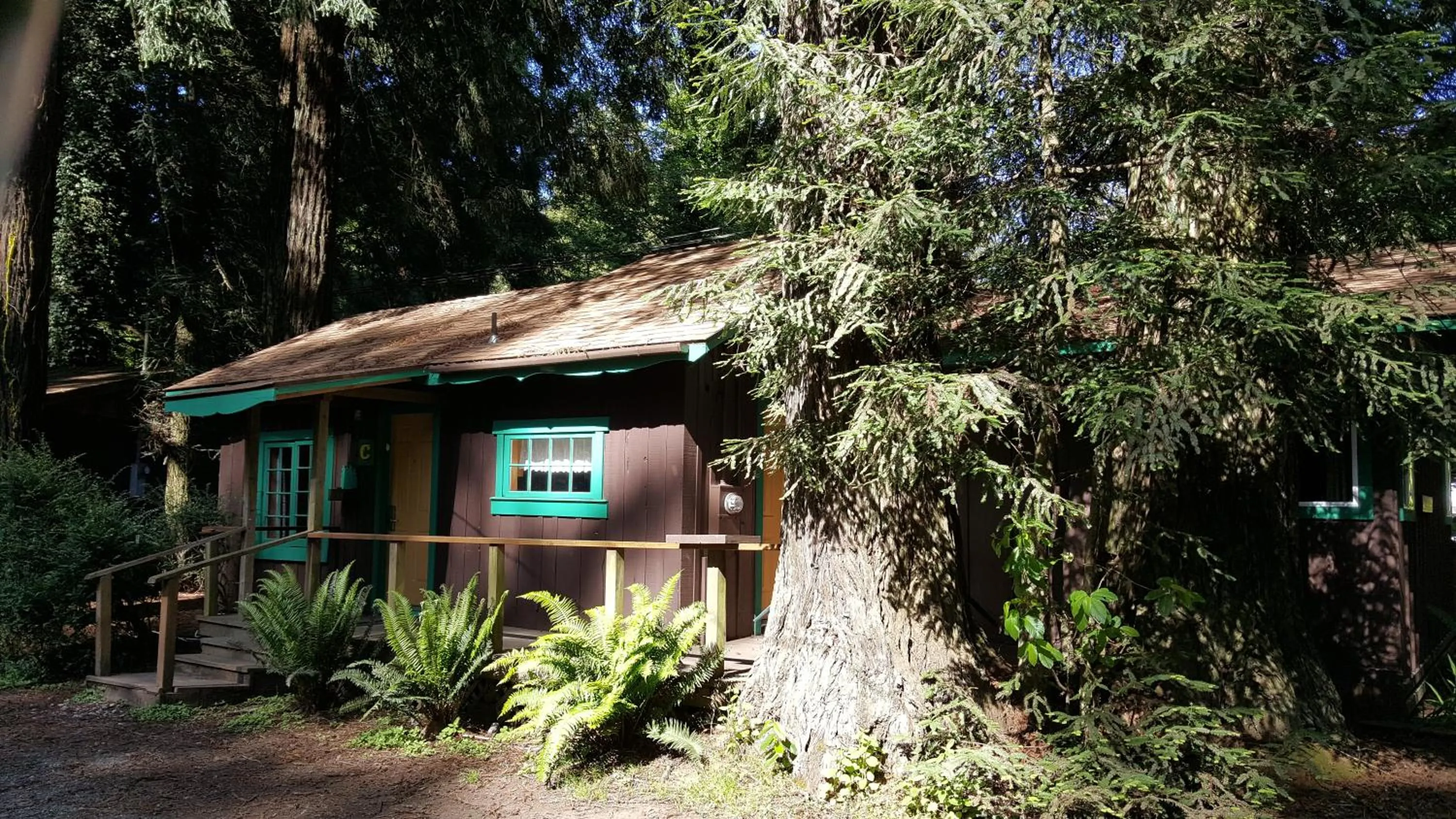 Property building in Emerald Forest Cabins