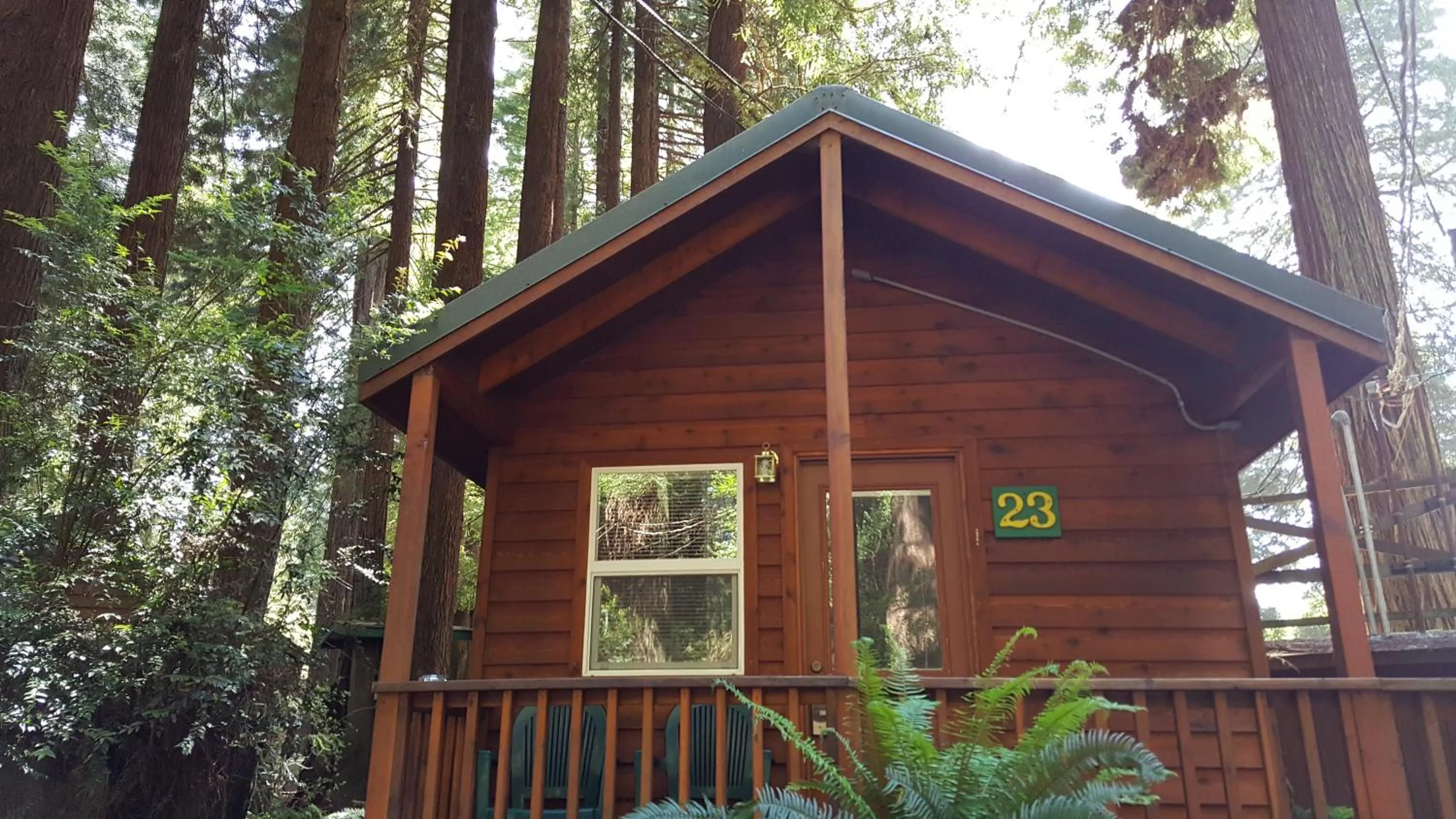 Property building in Emerald Forest Cabins