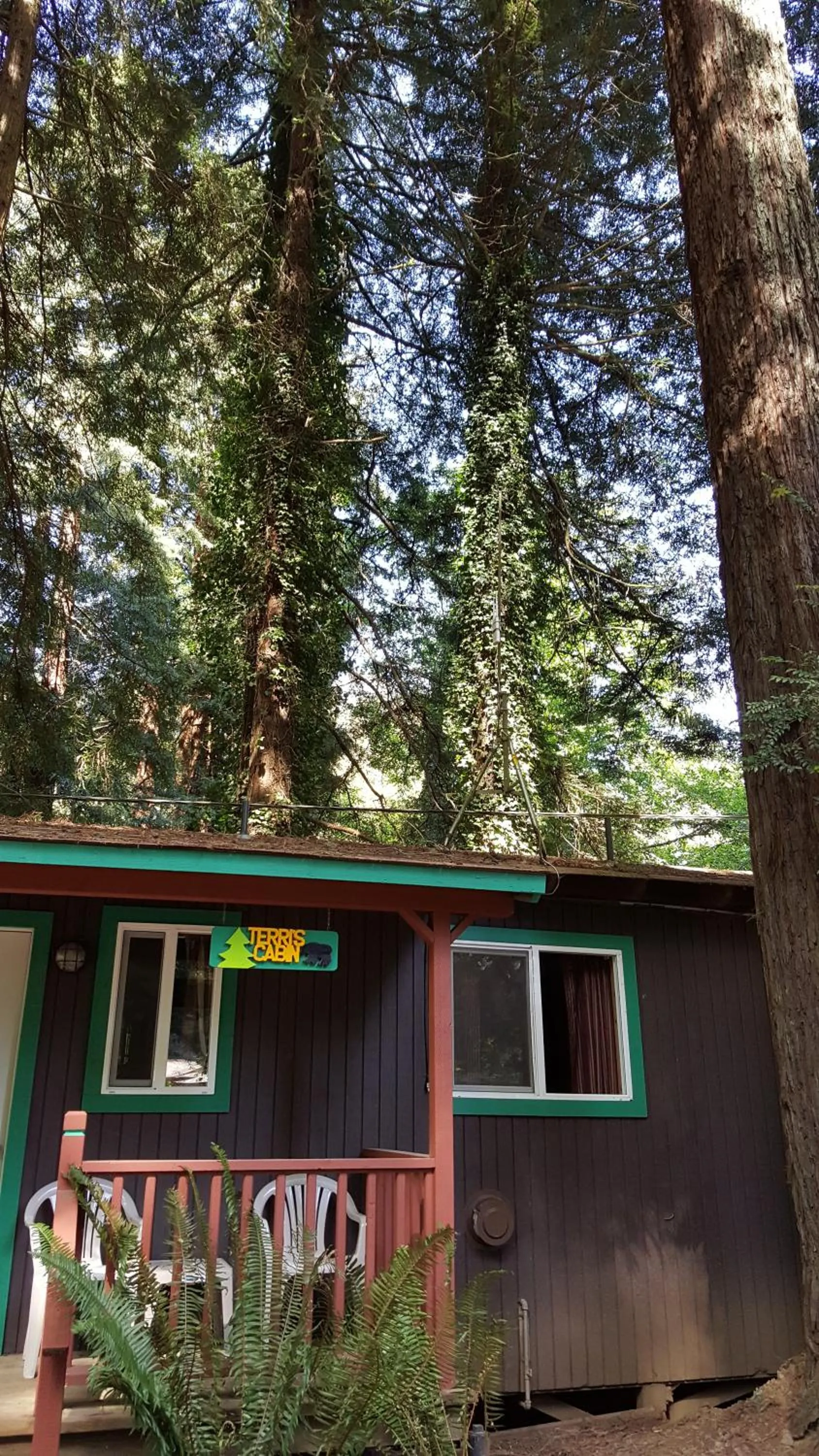 Property building in Emerald Forest Cabins