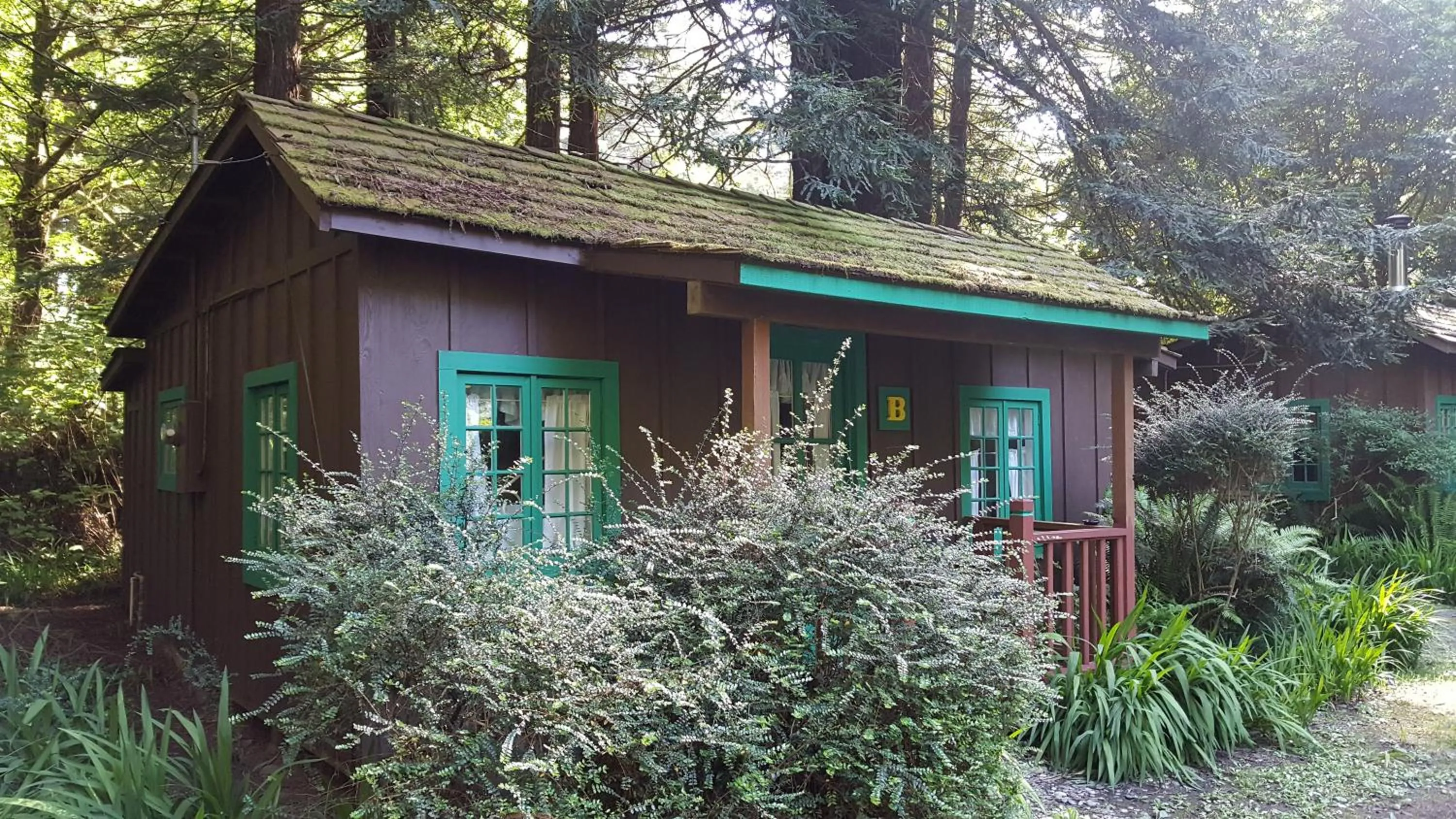 Property building in Emerald Forest Cabins