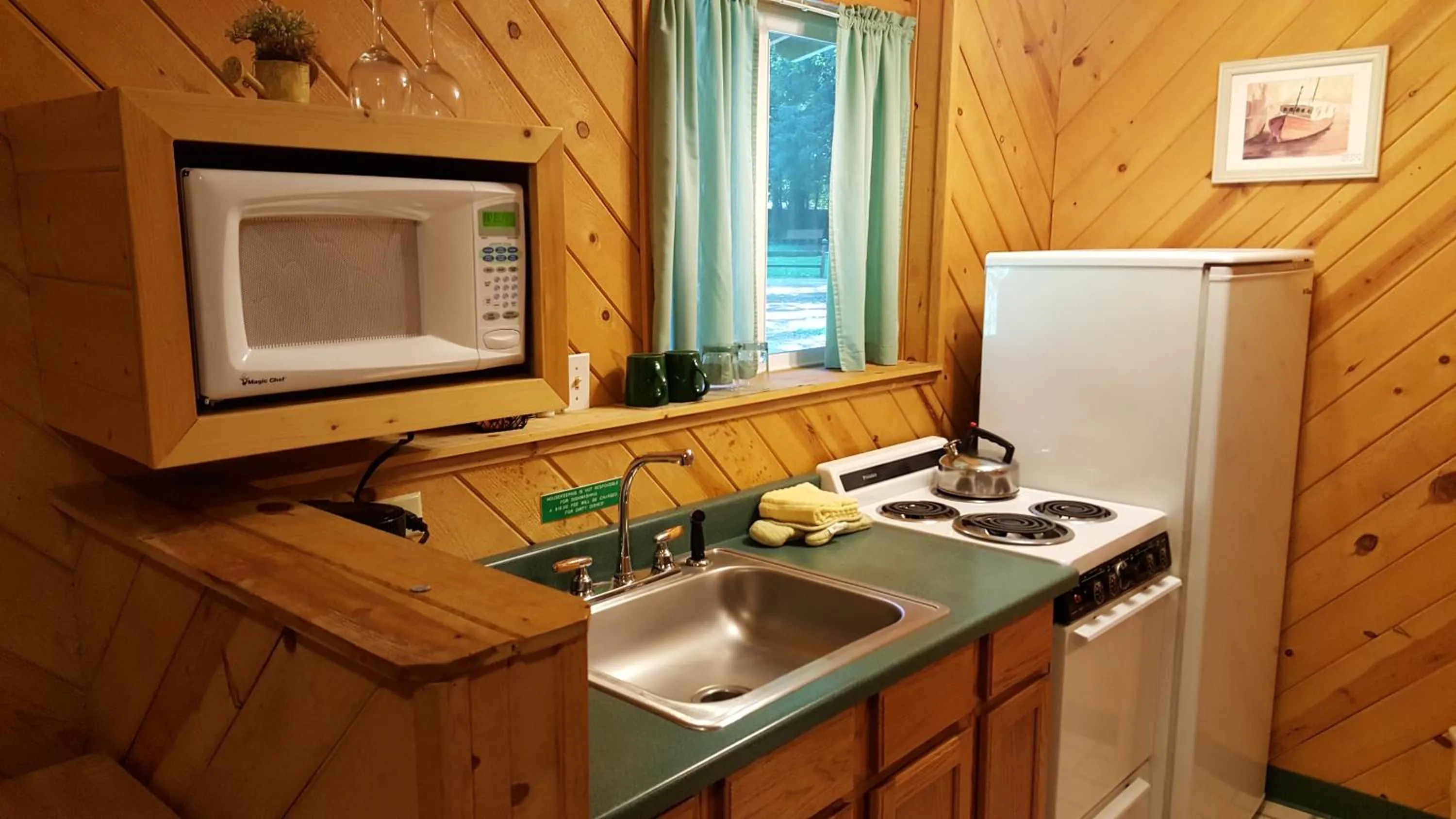 Kitchen or kitchenette in Emerald Forest Cabins