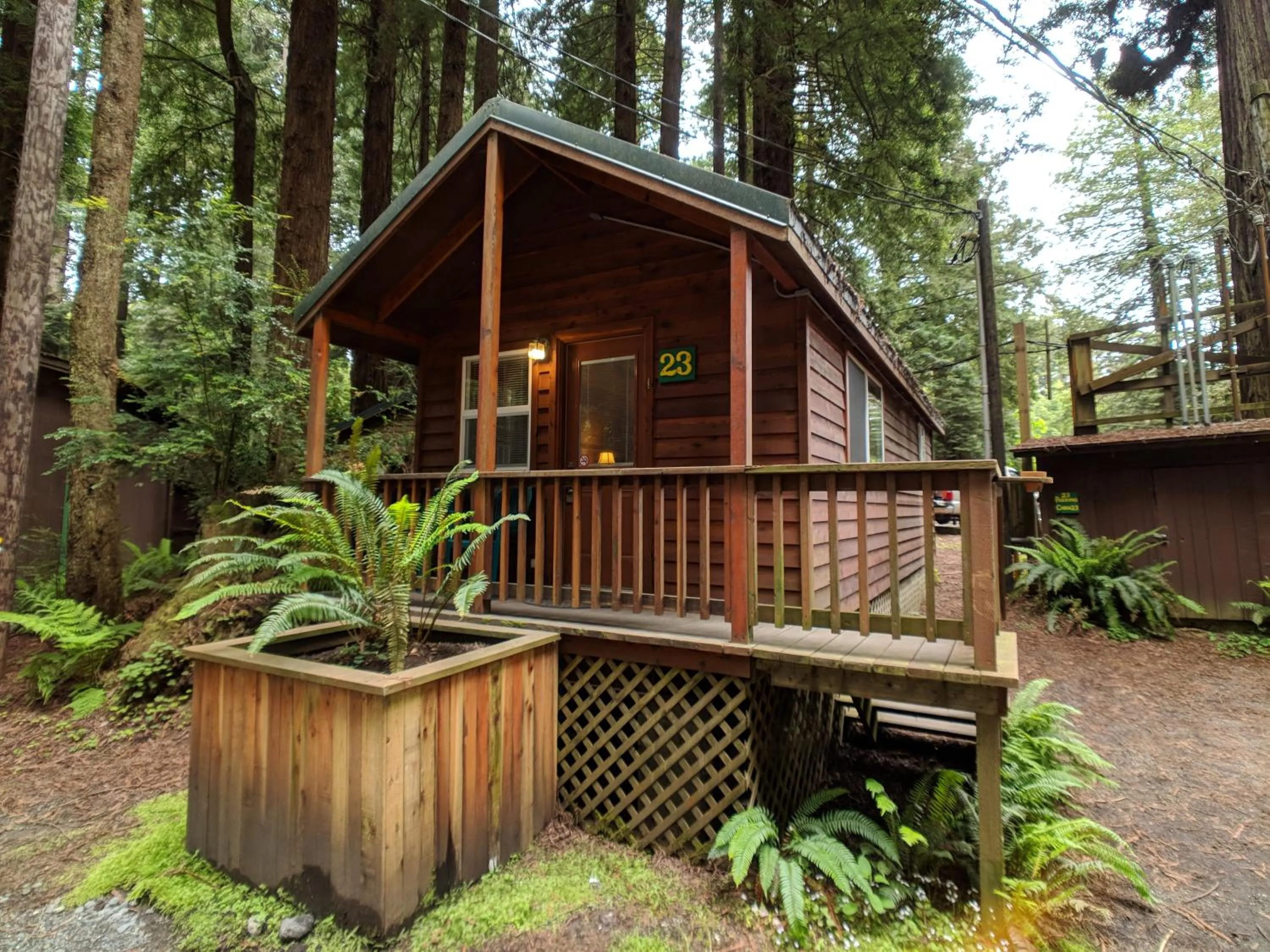 Natural landscape in Emerald Forest Cabins
