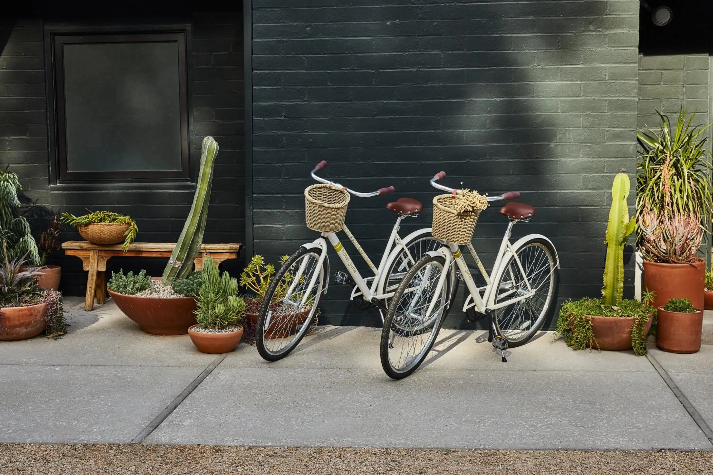 Activities in Hotel June Malibu