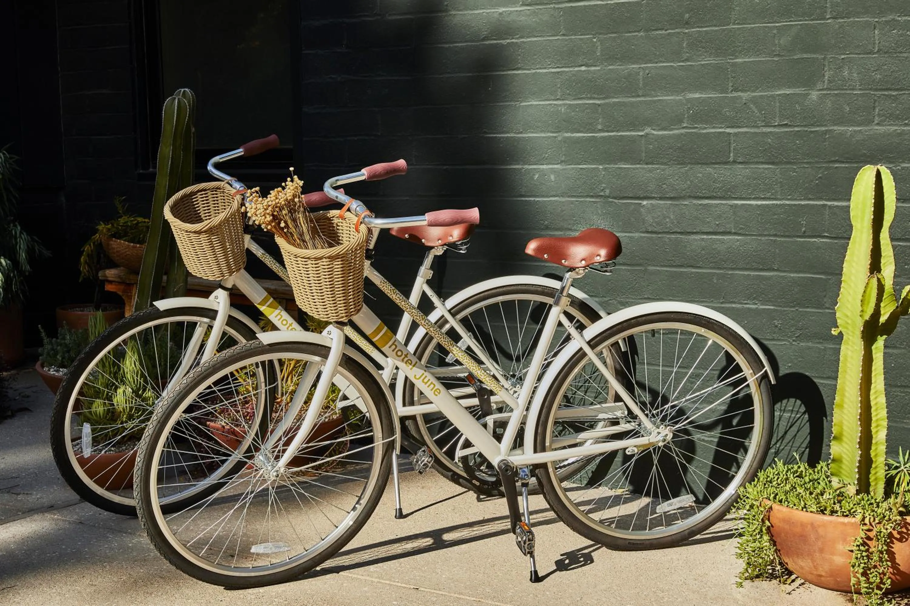 Activities in Hotel June Malibu