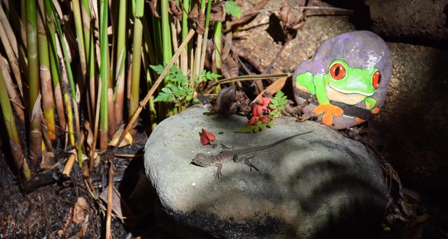 Animals in Copeland House