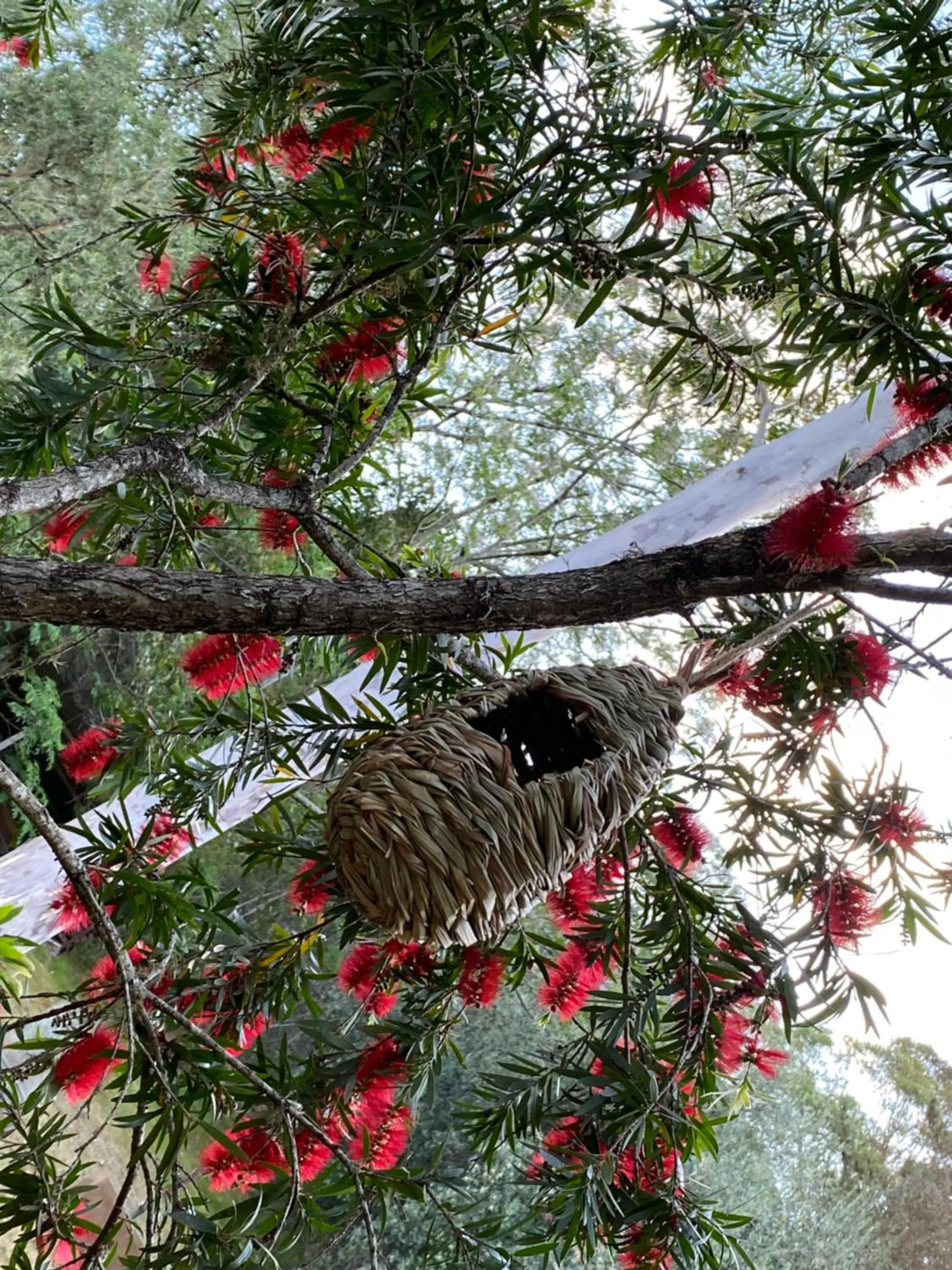 Garden in Copeland House
