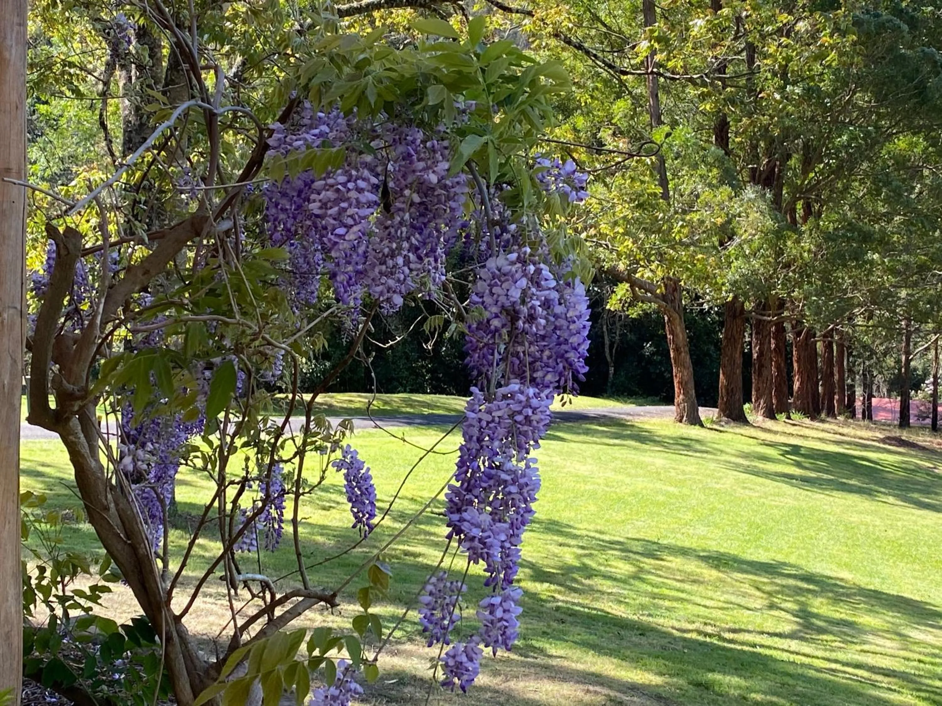 Garden in Copeland House