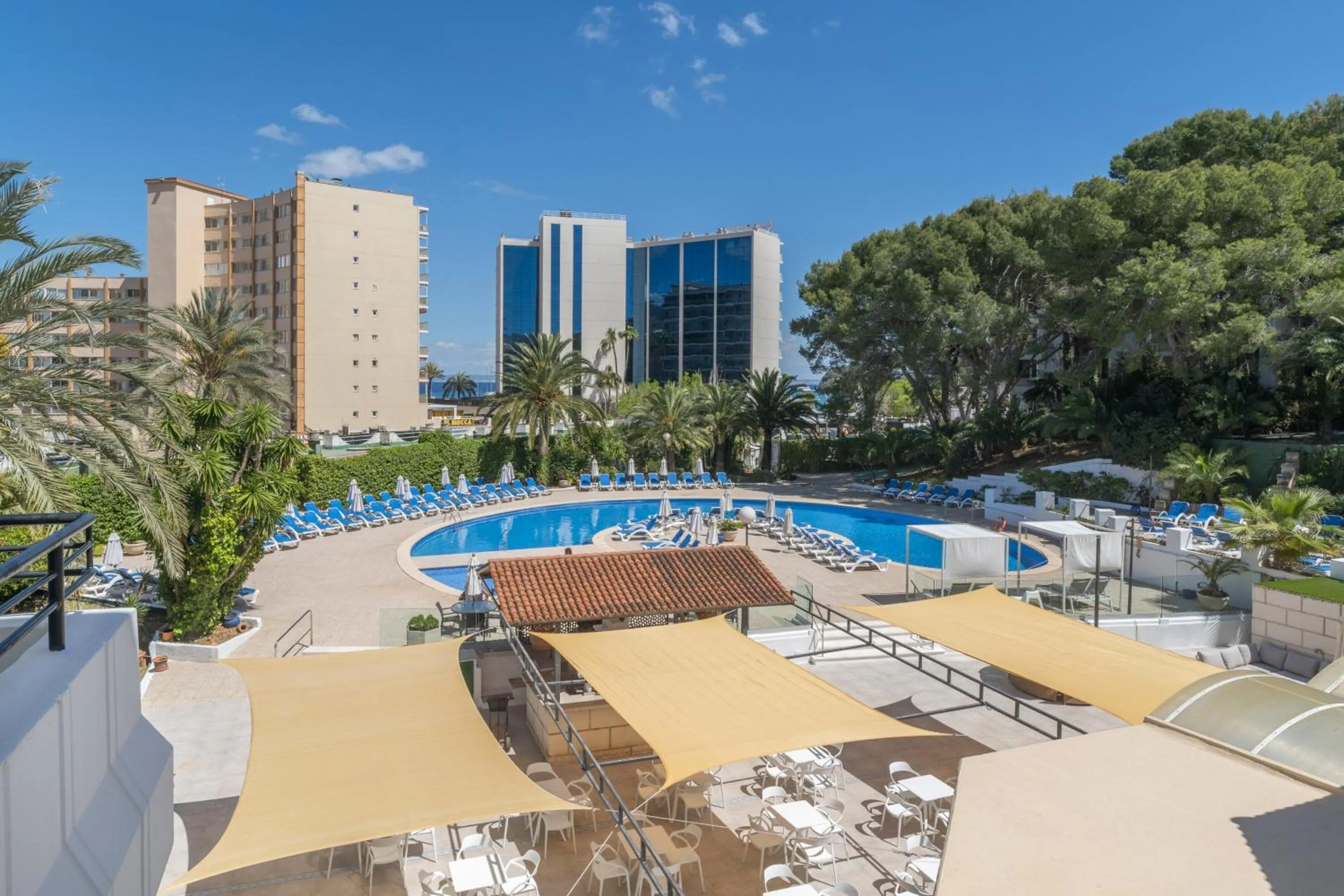 Pool view in Sol Lunamar Palmanova Apartamentos - Adults Only