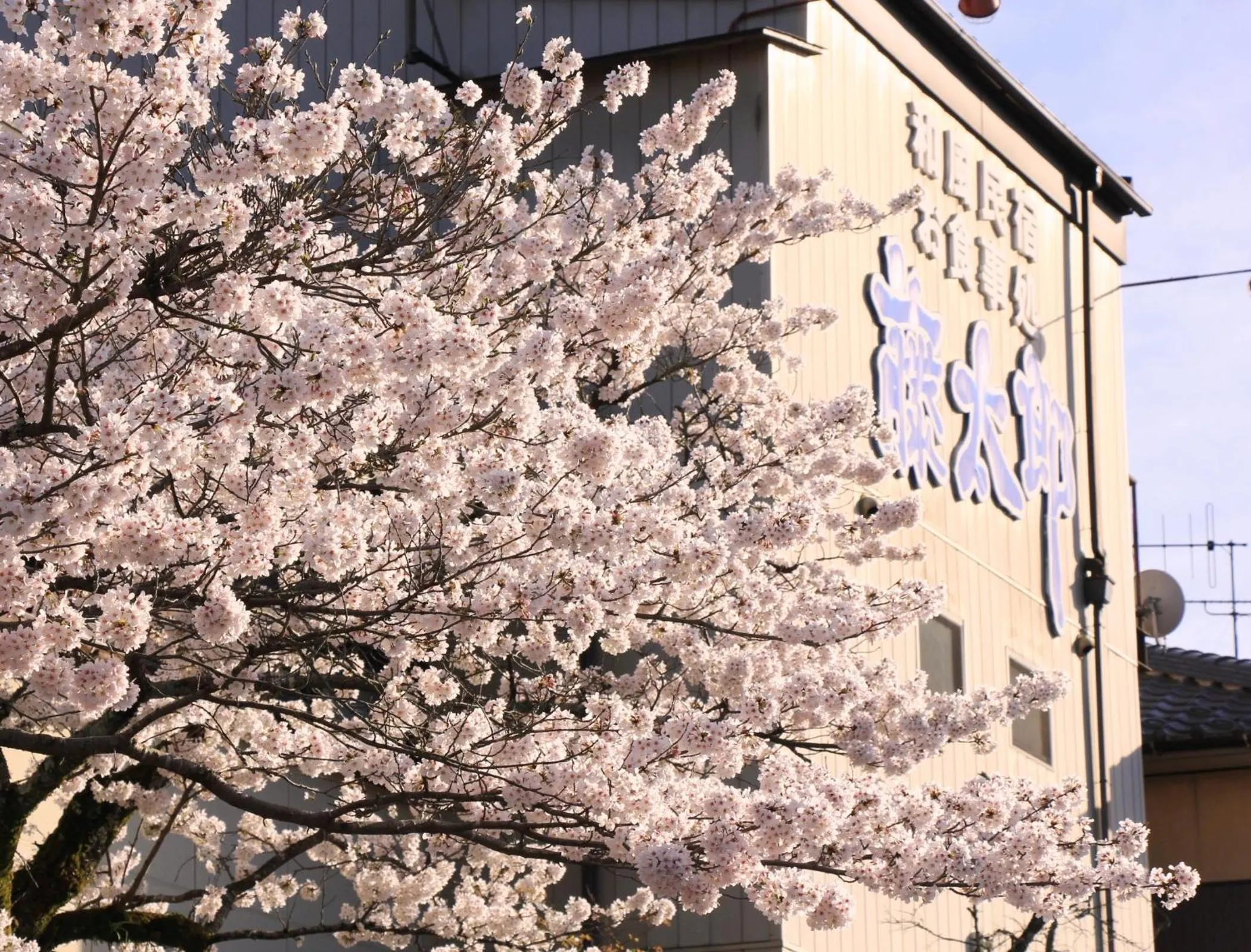 Facade/entrance in Ena Totaro