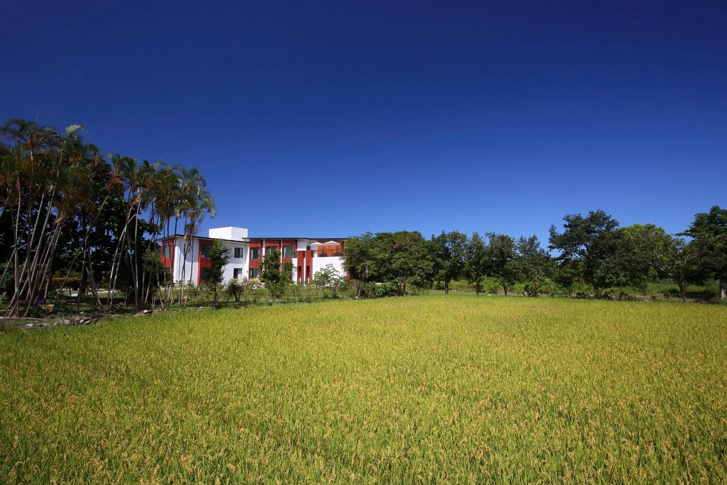 View (from property/room) in 雲起軒民宿 Cloudscape B&B
