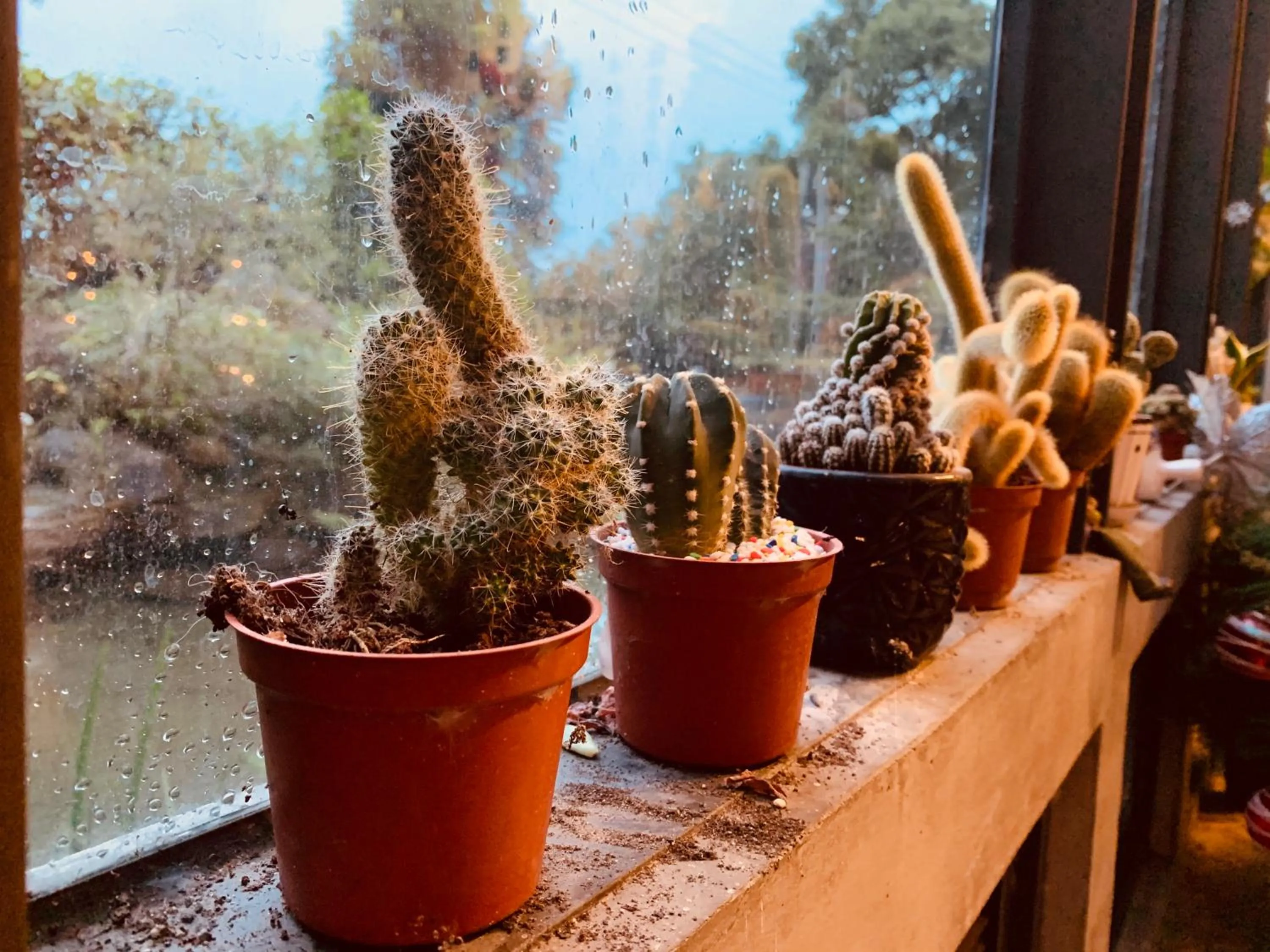 Decorative detail in 雲起軒民宿 Cloudscape B&B