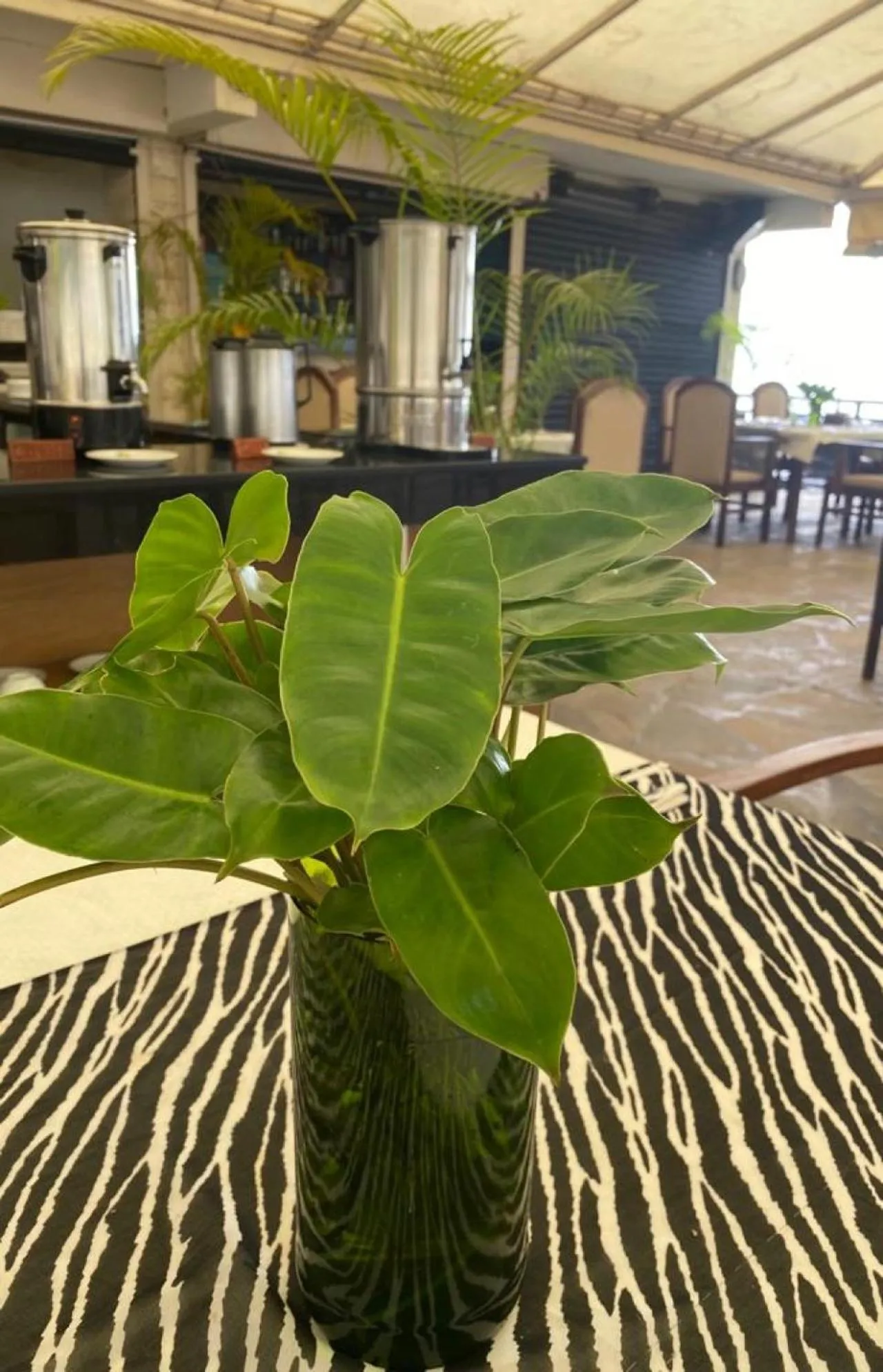 Restaurant/places to eat in Indiana Beach Apartments